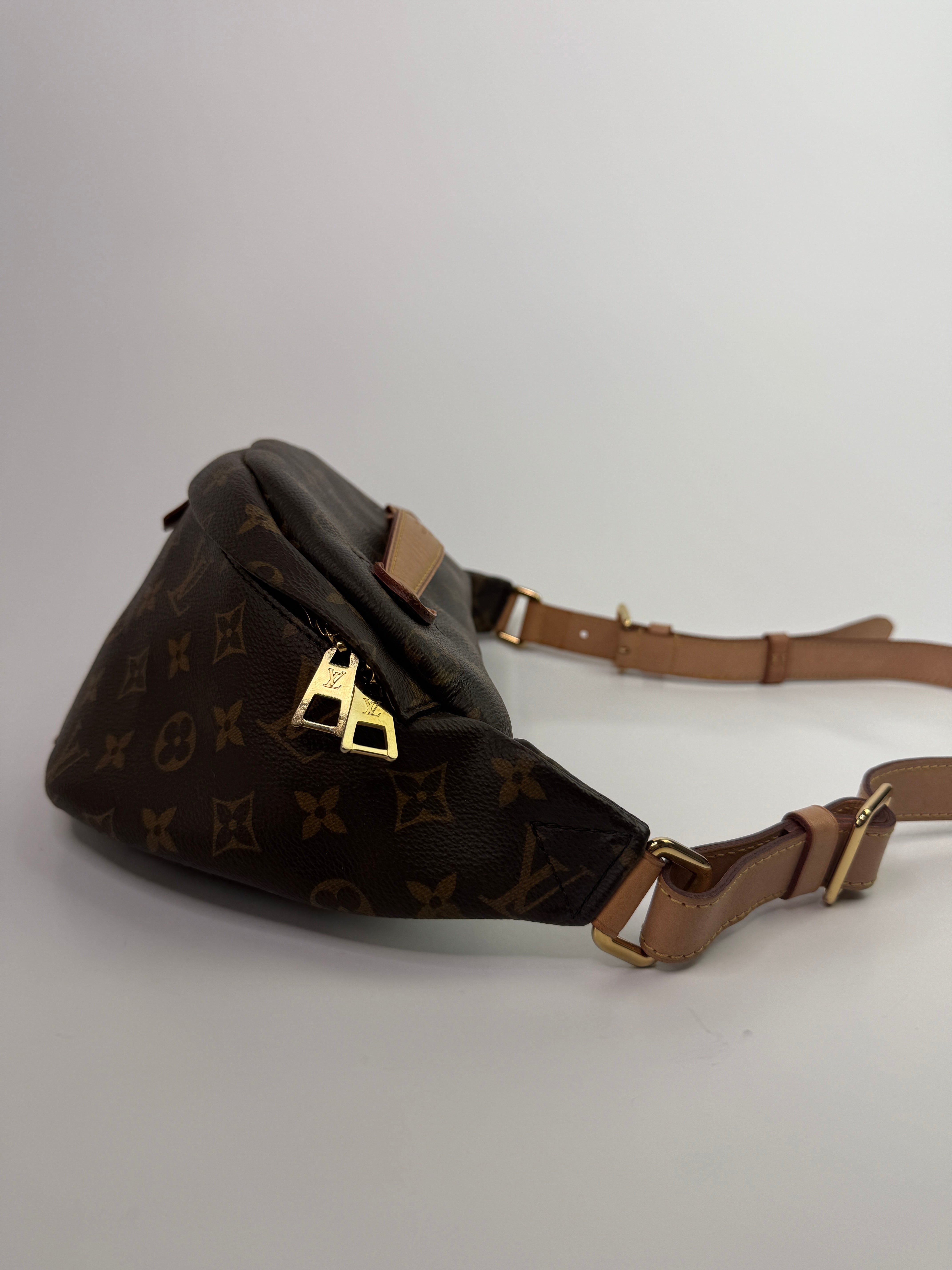 Louis Vuitton Monogram Bumbag