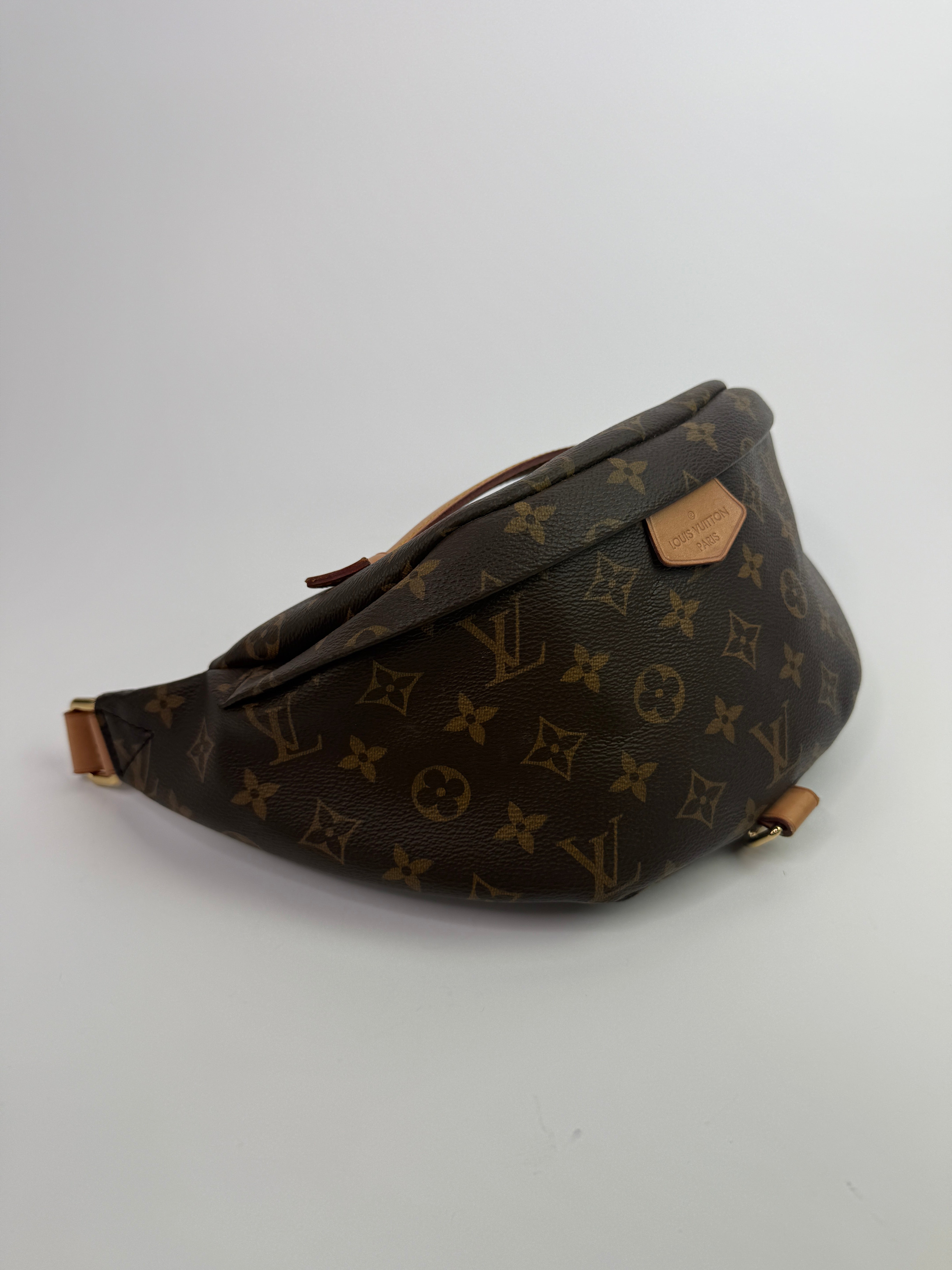 Louis Vuitton Monogram Bumbag