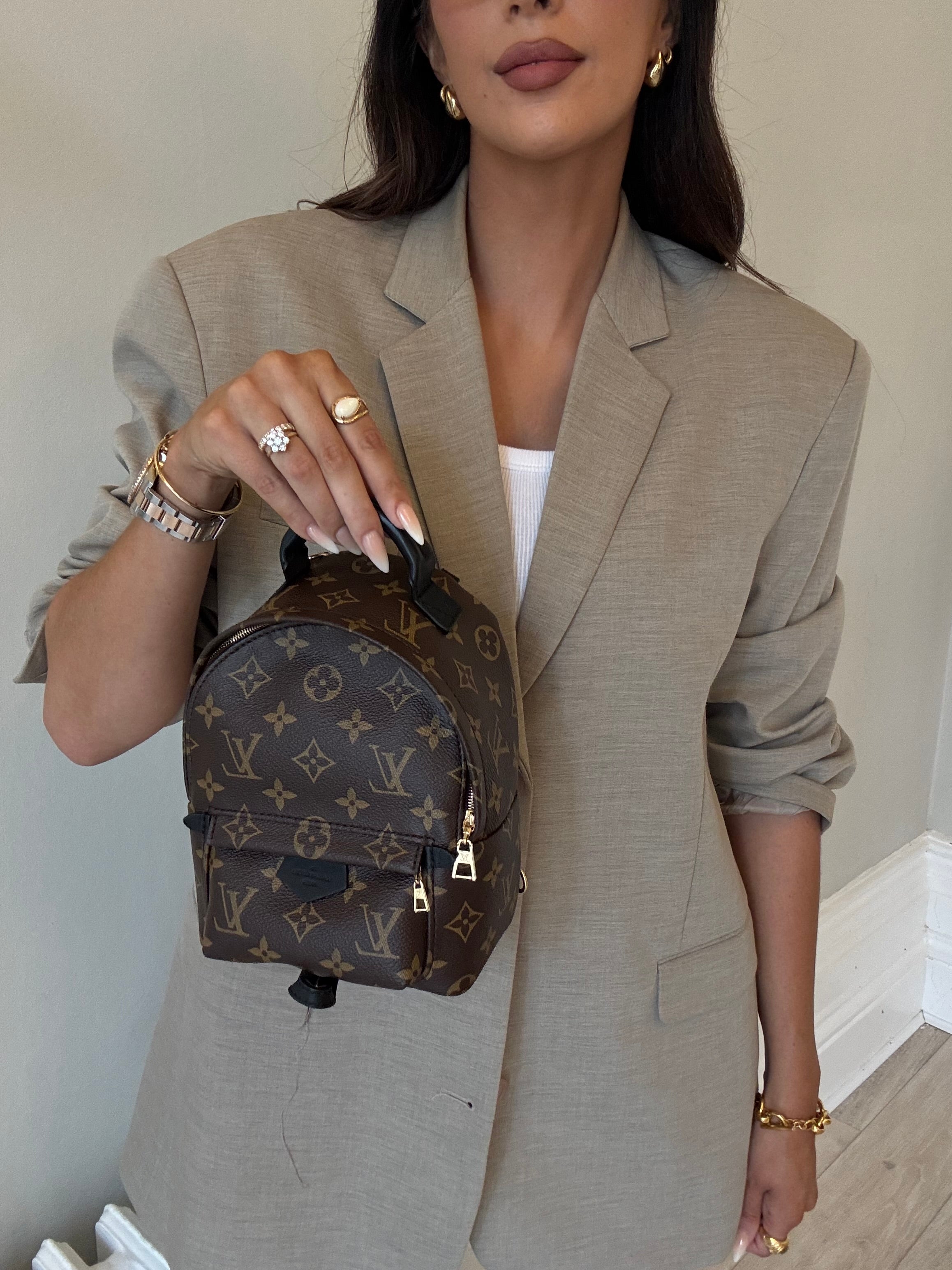 Louis Vuitton Palm Springs Mini Backpack