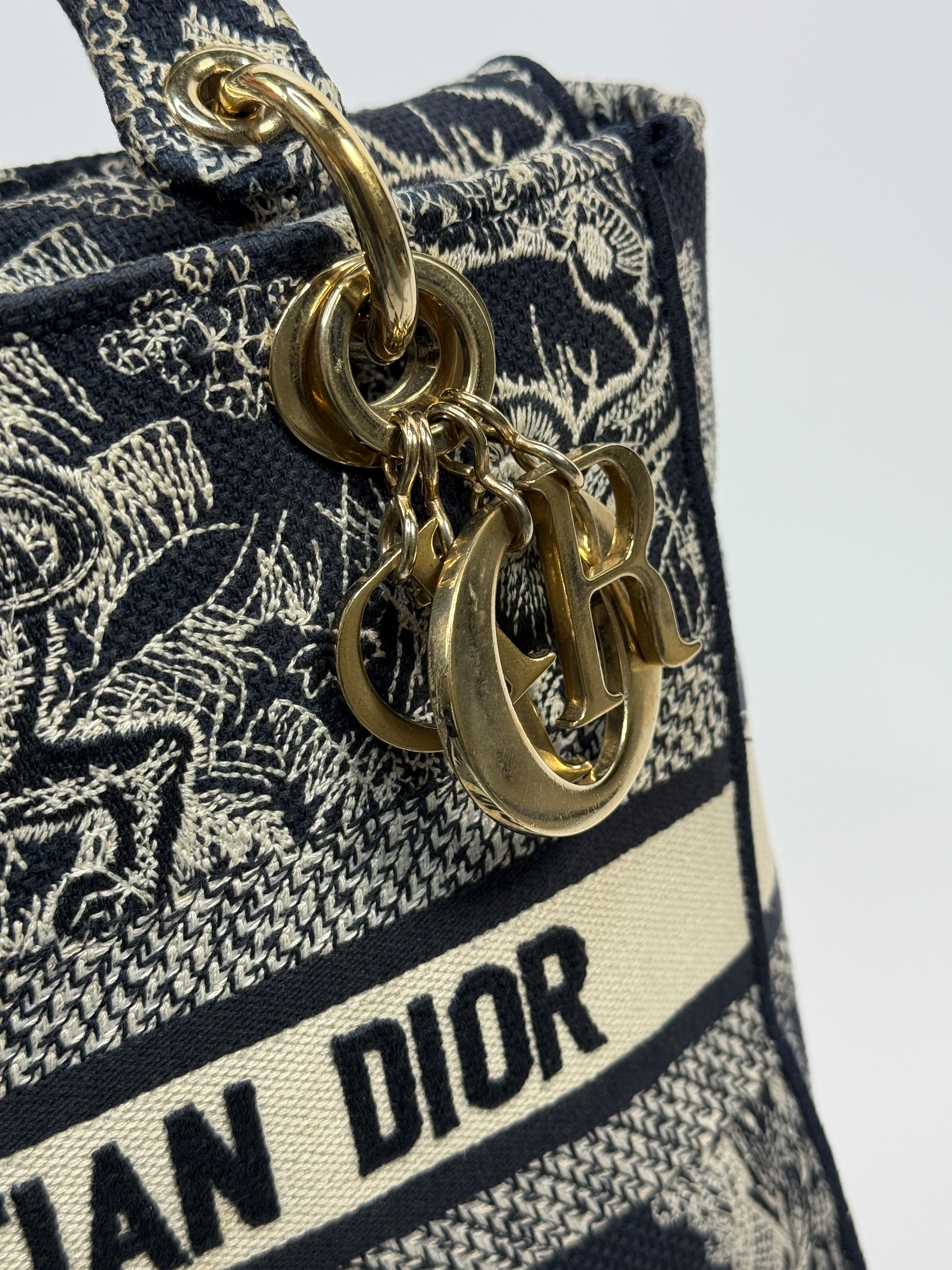 Christian Dior Medium Lady D-Lite bag