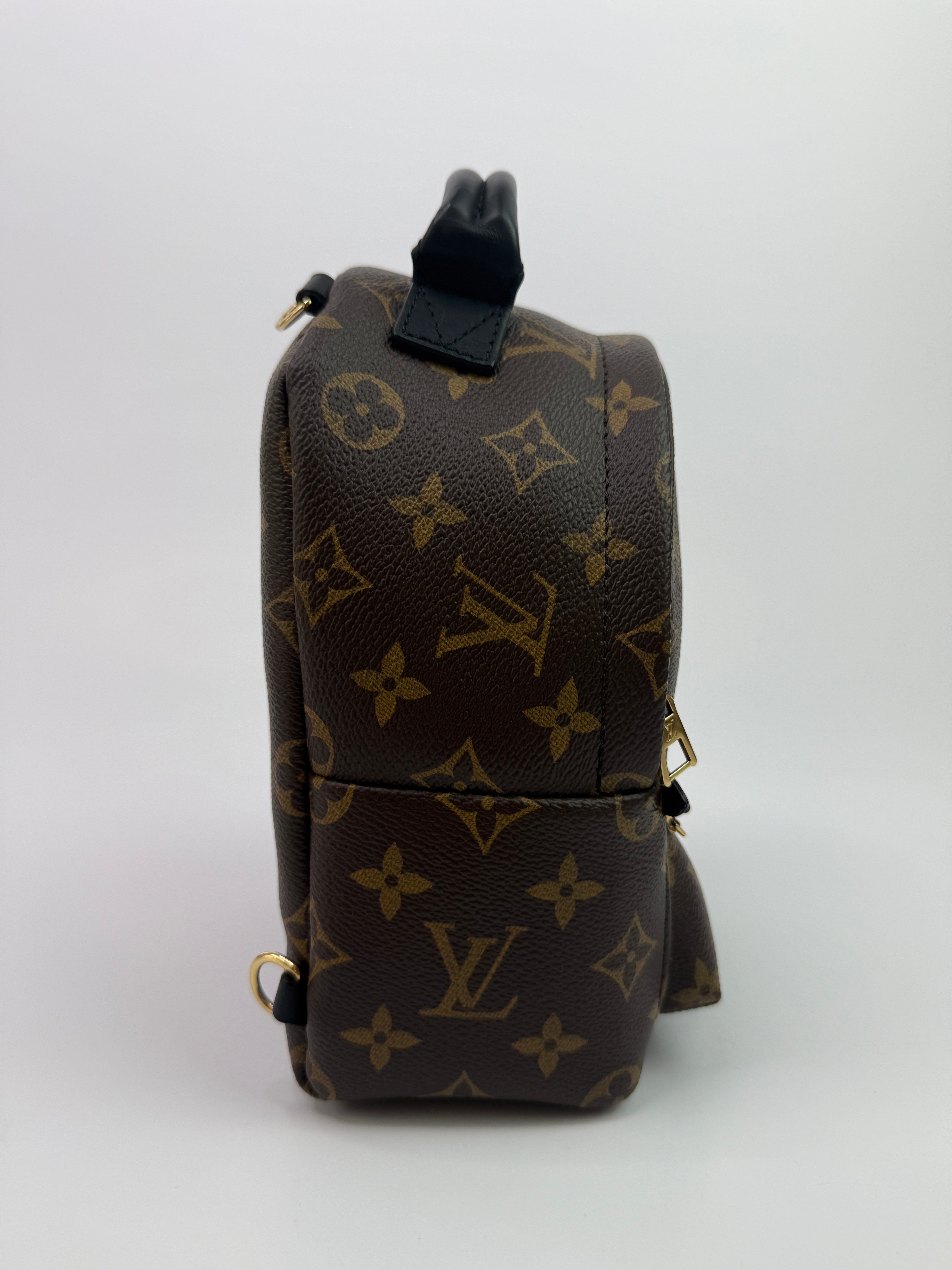 Louis Vuitton Palm Springs Mini Backpack