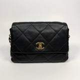 Chanel Black Seasonal Flap Bag