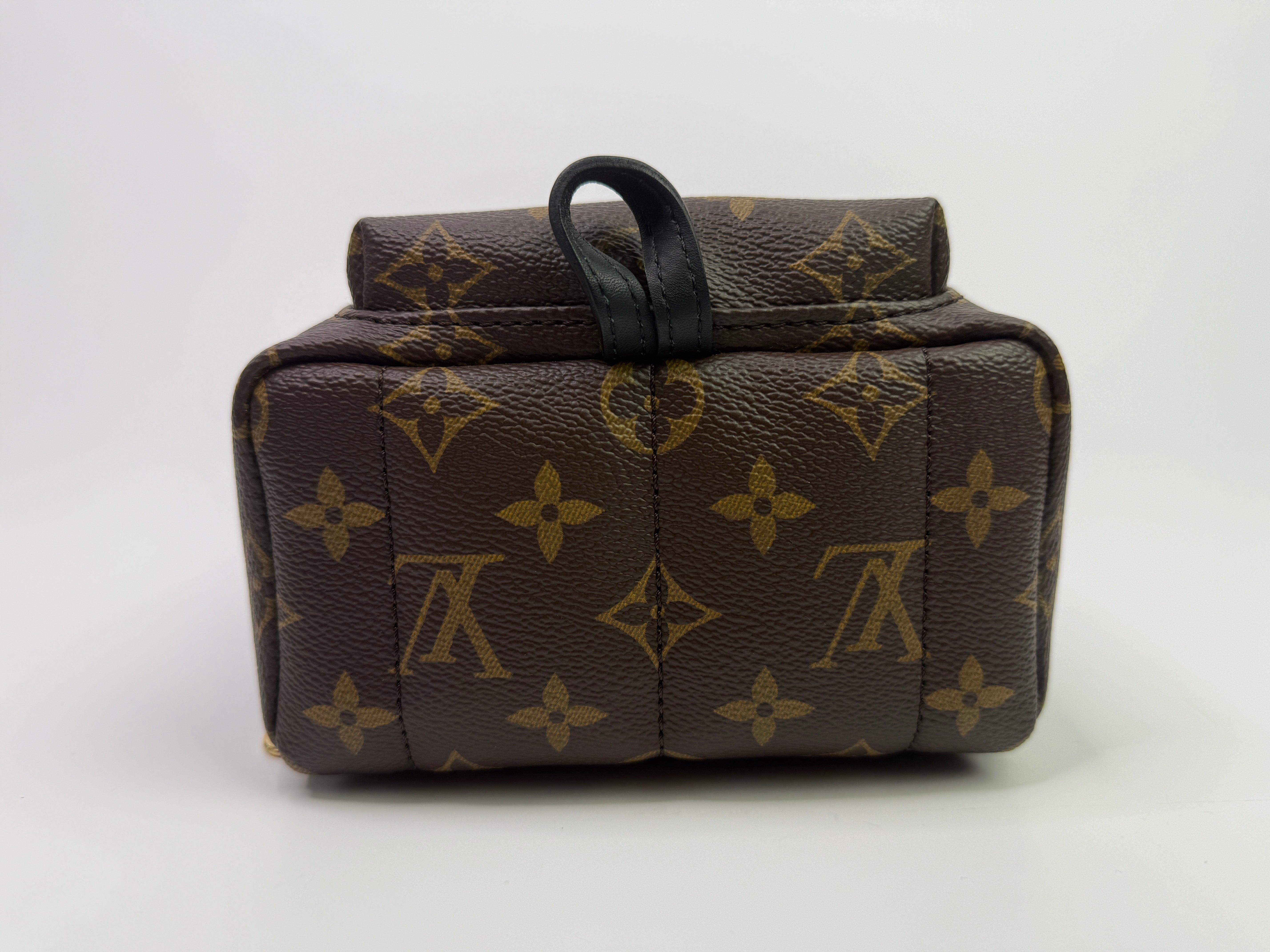 Louis Vuitton Palm Springs Mini Backpack