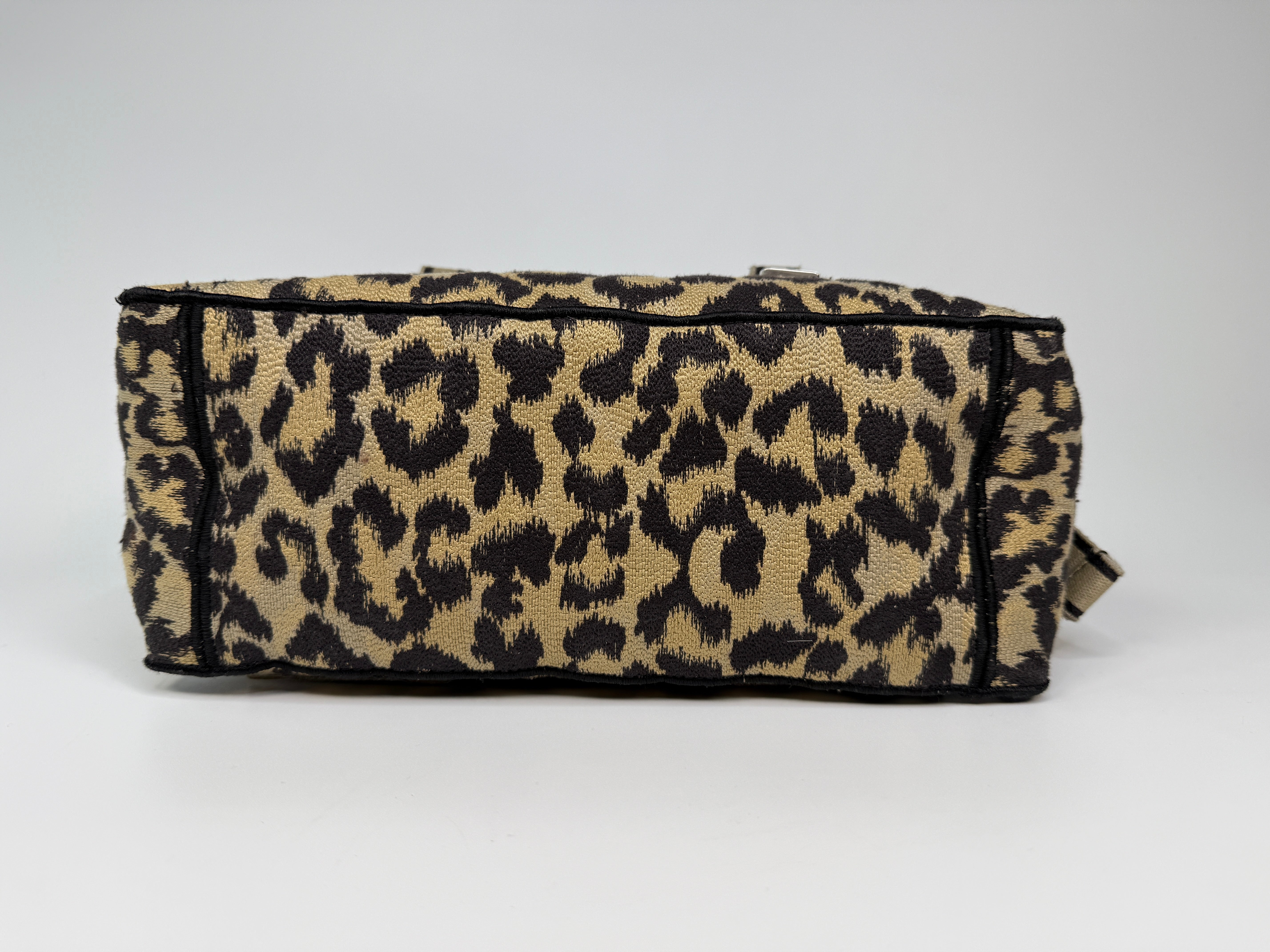 Christian Dior Camp Dior Bag In Leopard