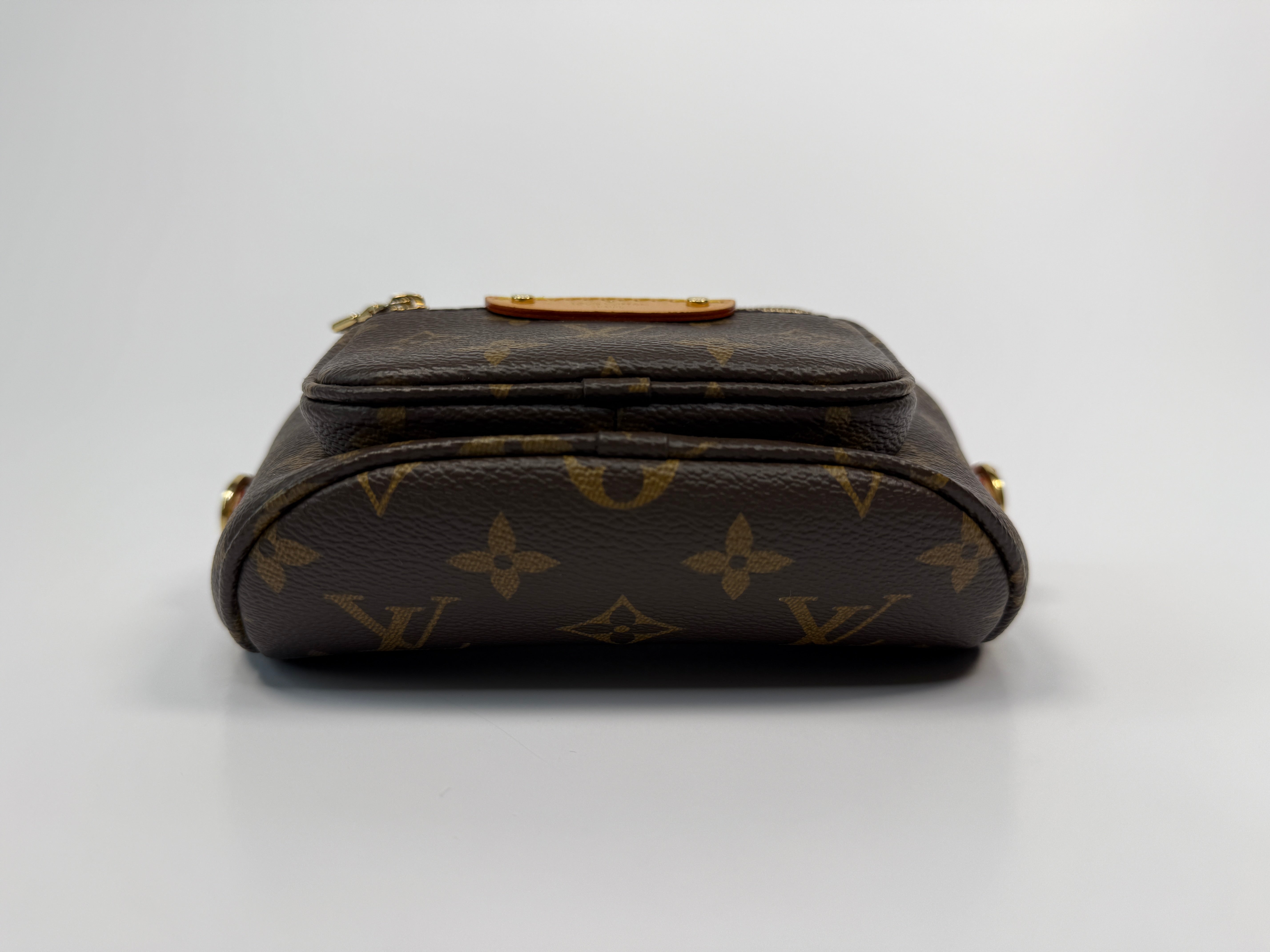 Louis Vuitton Mini Bumbag