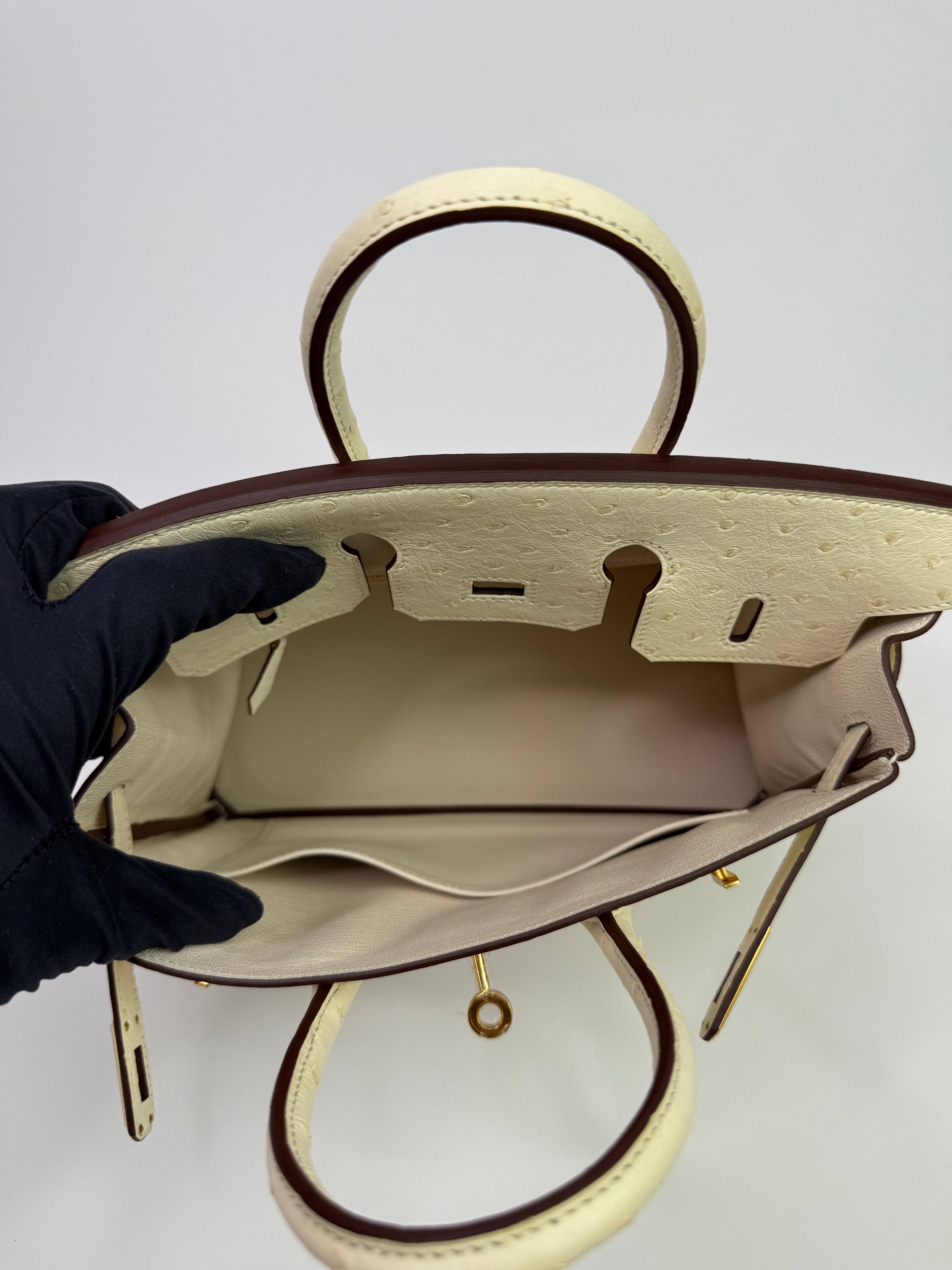 Hermès Birkin 25 In Nata Ostrich With Gold Hardware