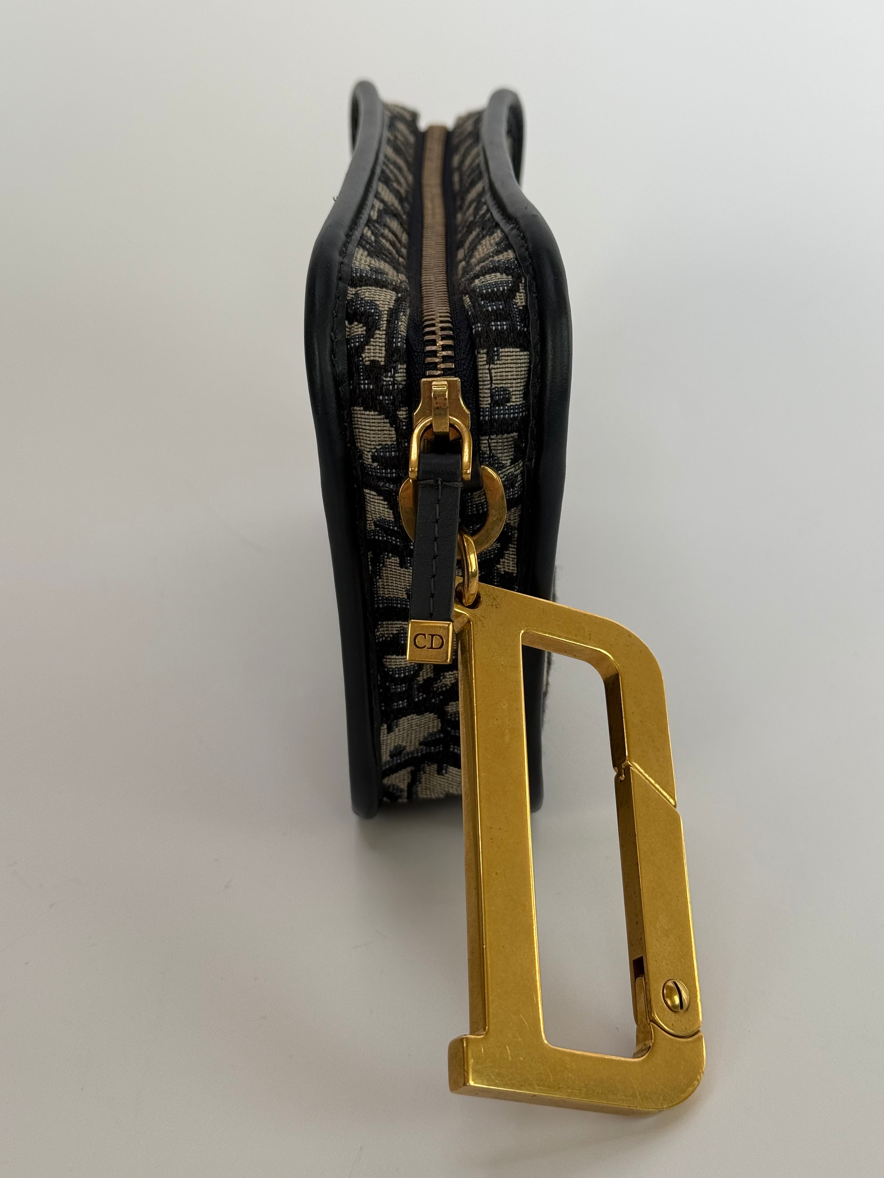 Christian Dior Diorquake Oblique Clutch