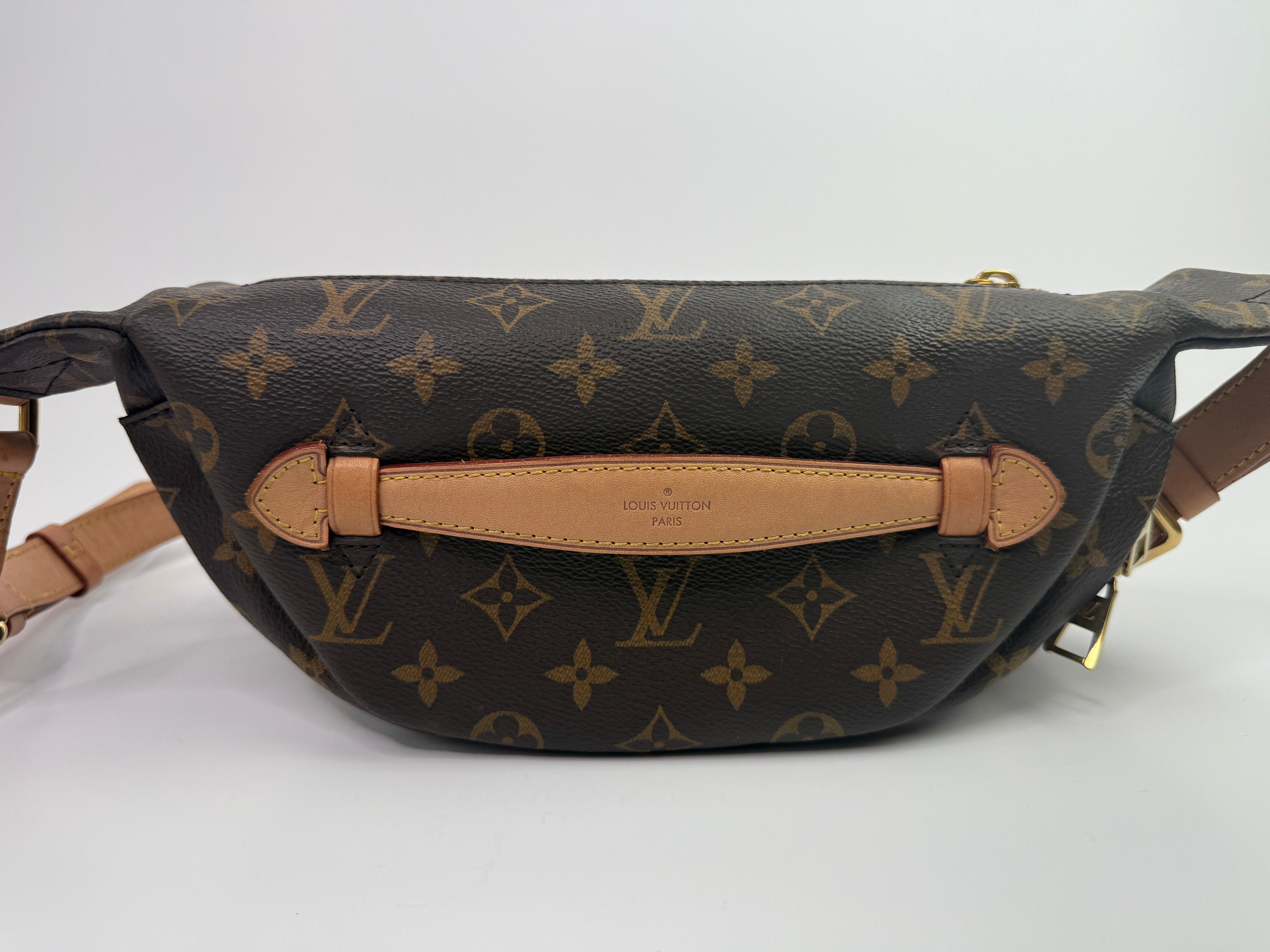 Louis Vuitton Monogram Bumbag
