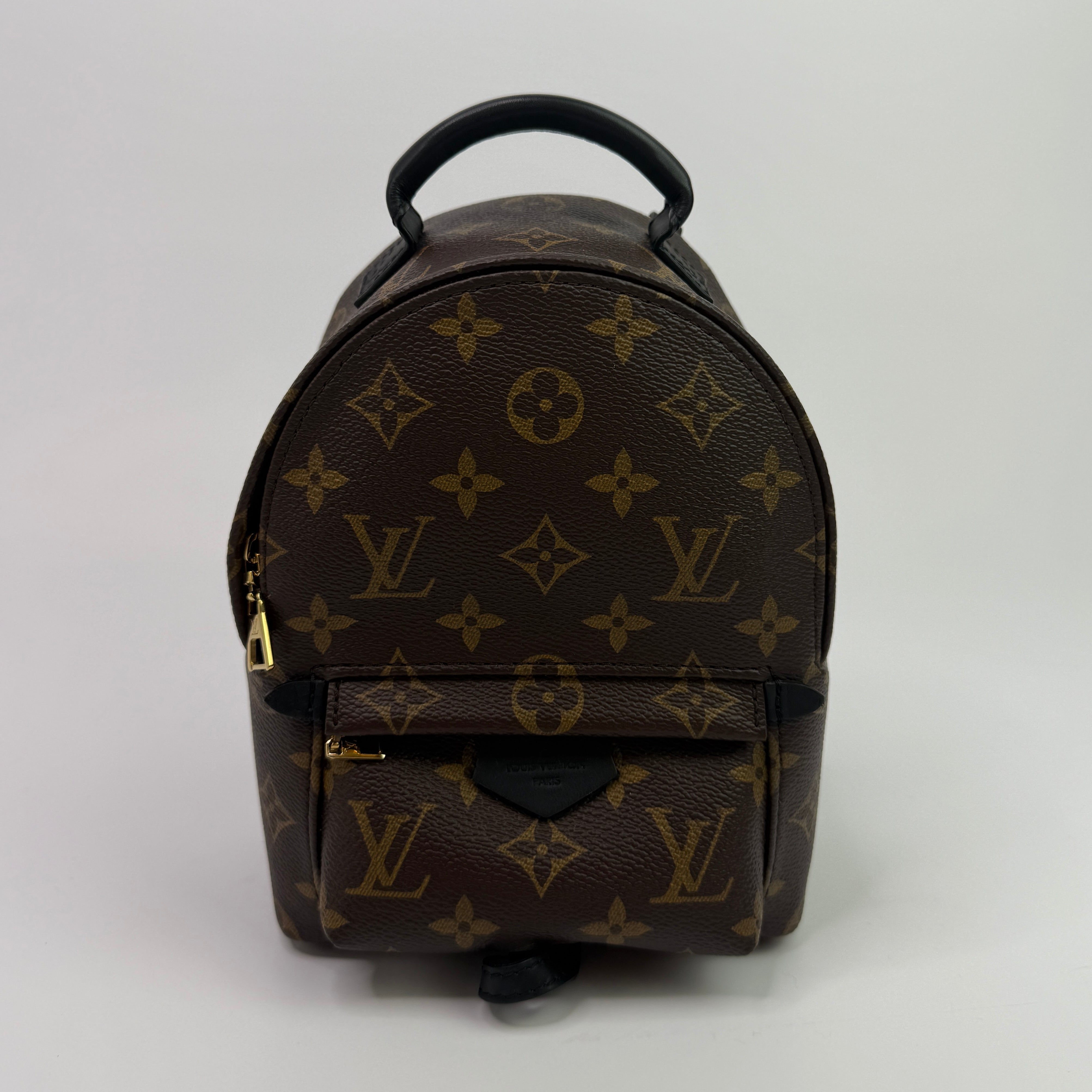 Louis Vuitton Palm Springs Mini Backpack