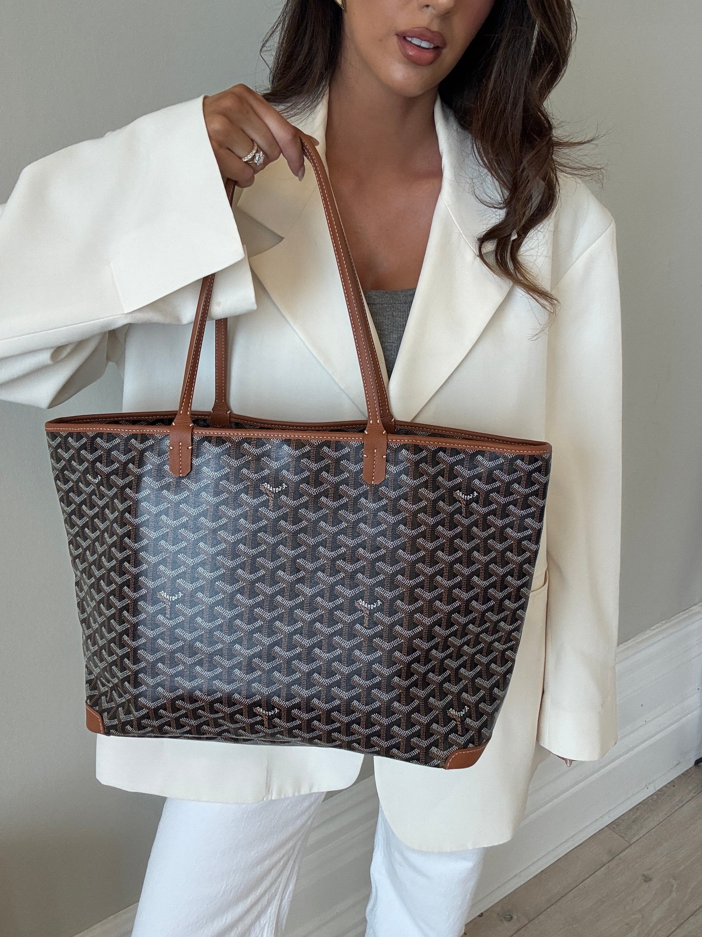 Goyard Artois MM Bag