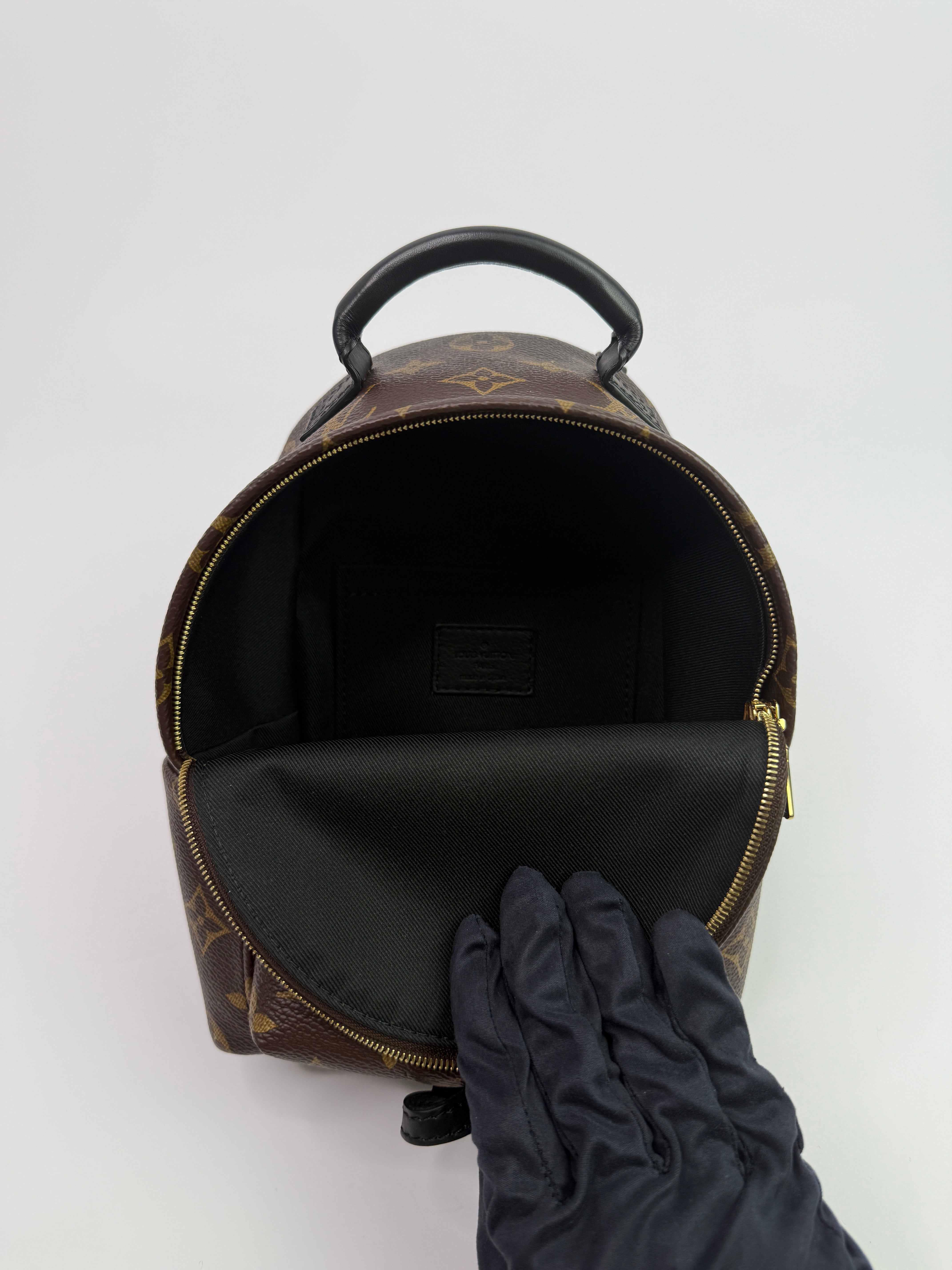 Louis Vuitton Palm Springs Mini Backpack