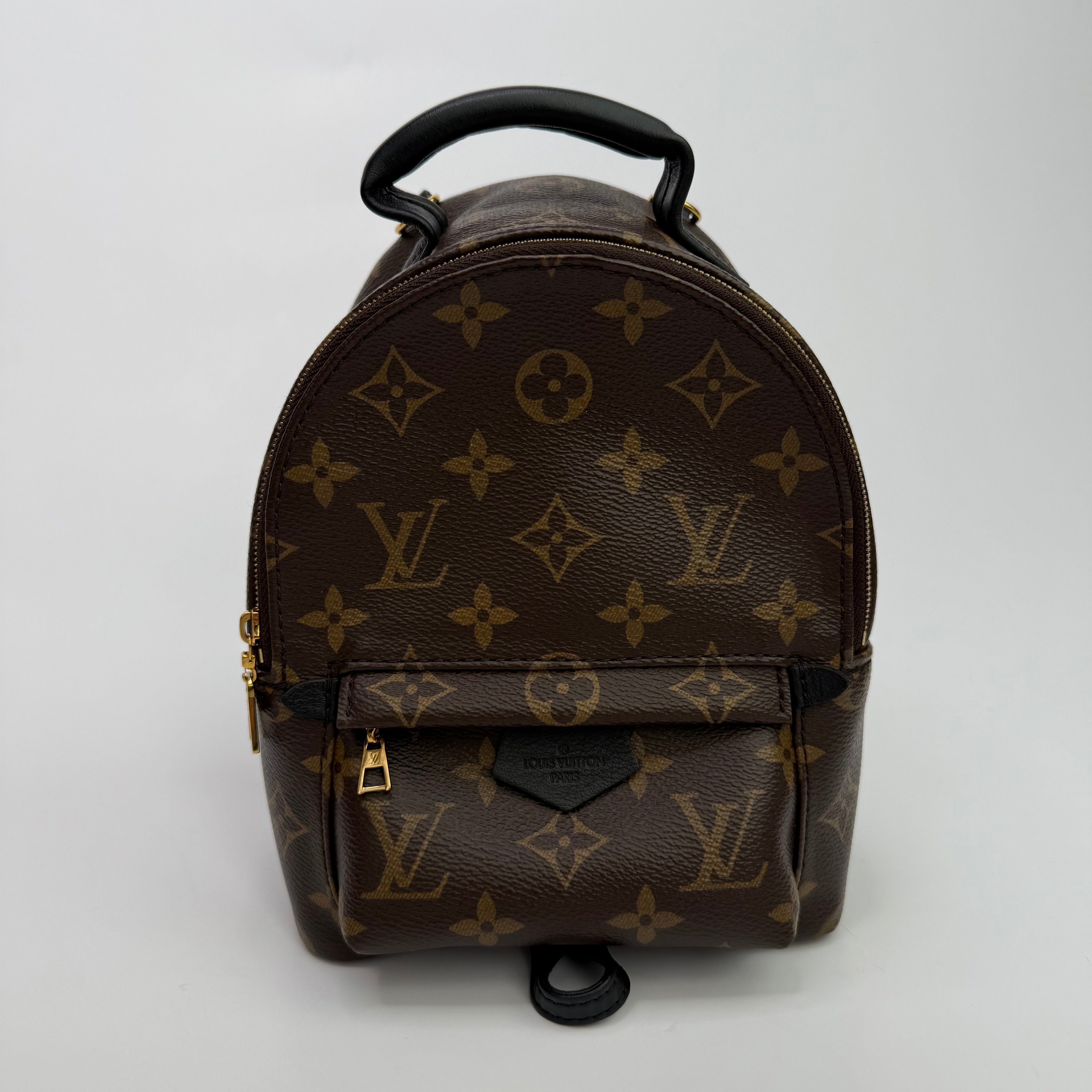 Louis Vuitton Palm Springs Mini Backpack