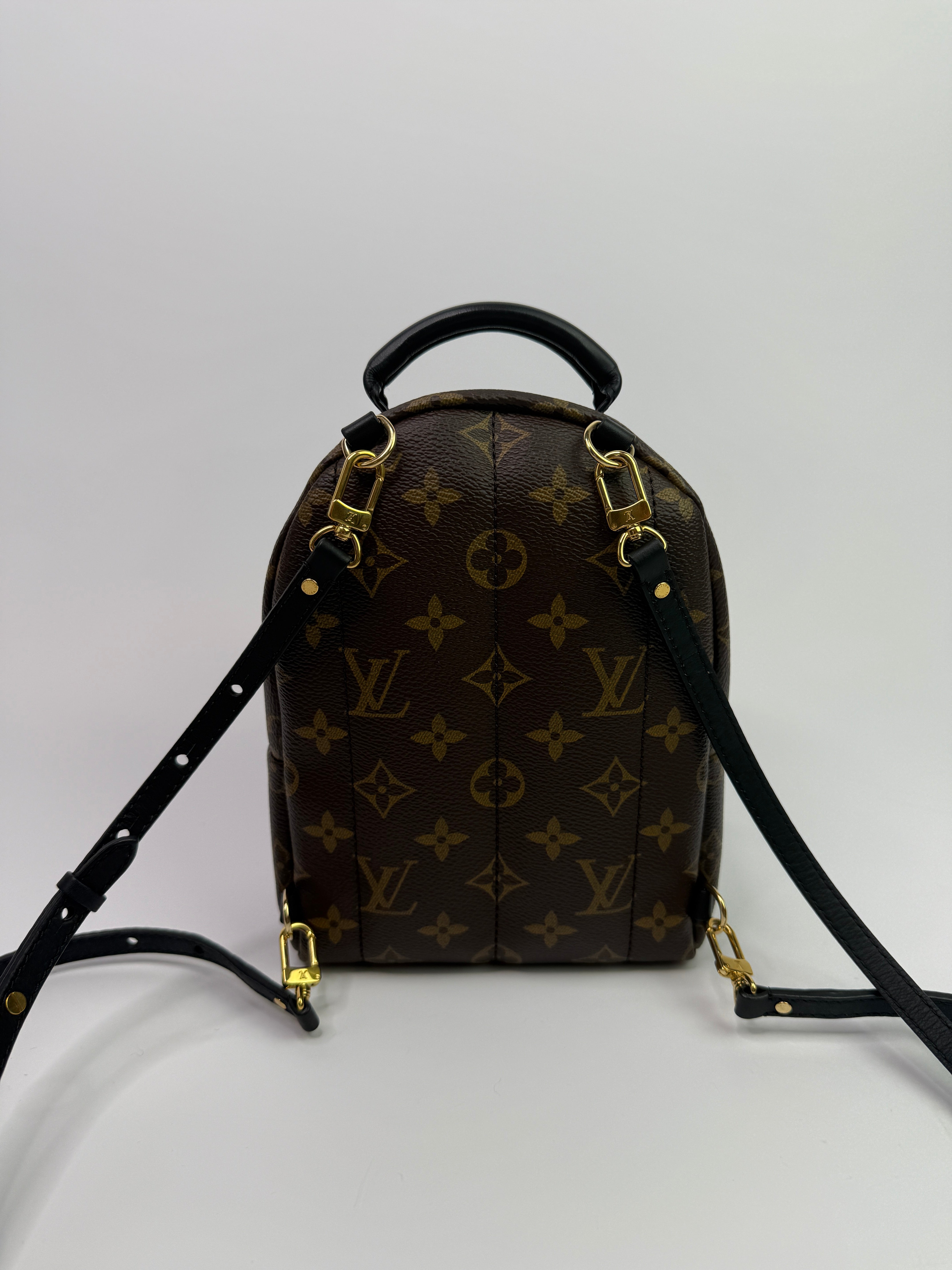 Louis Vuitton Palm Springs Mini Backpack