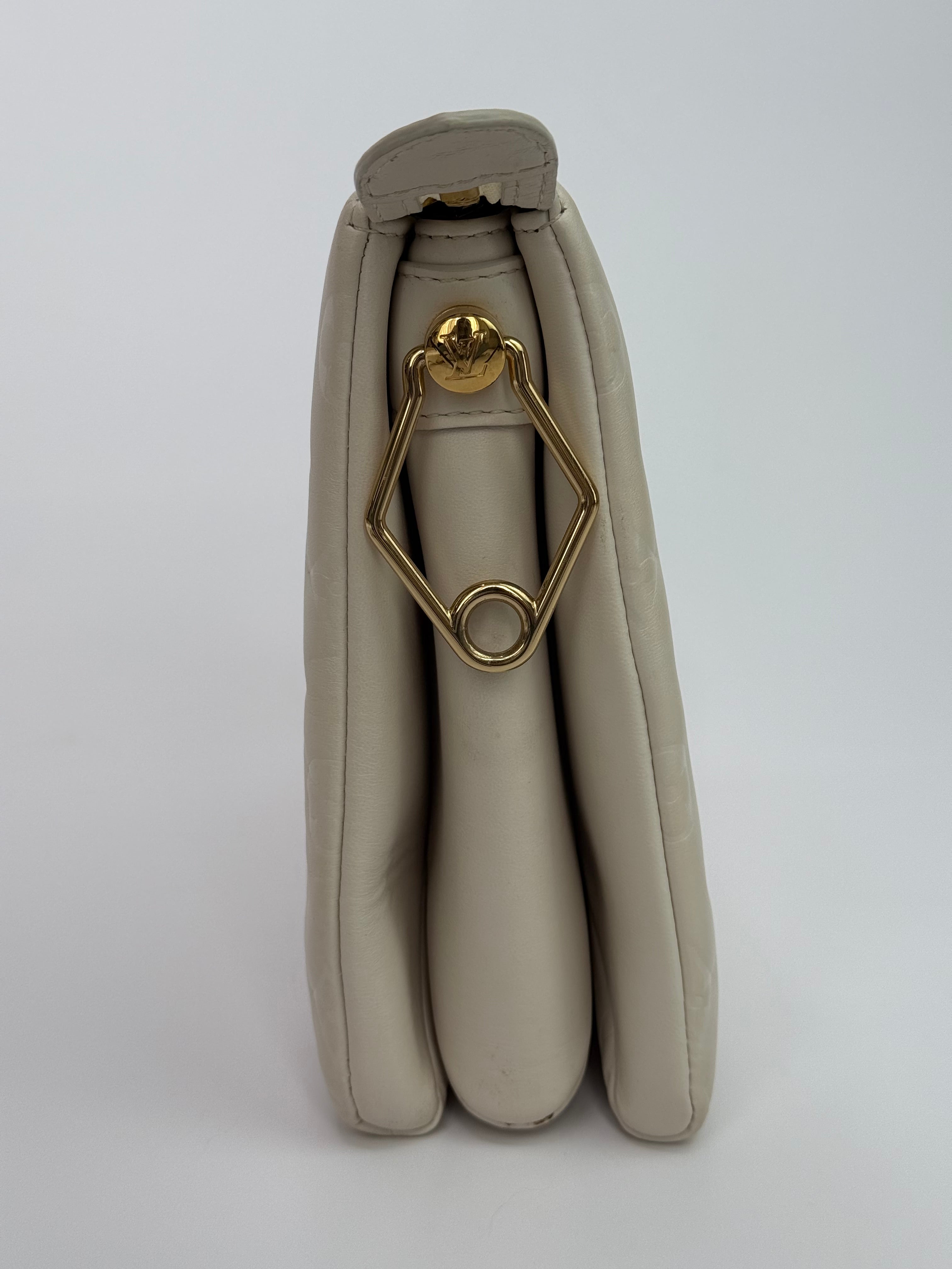 Louis Vuitton Coussin PM Bag