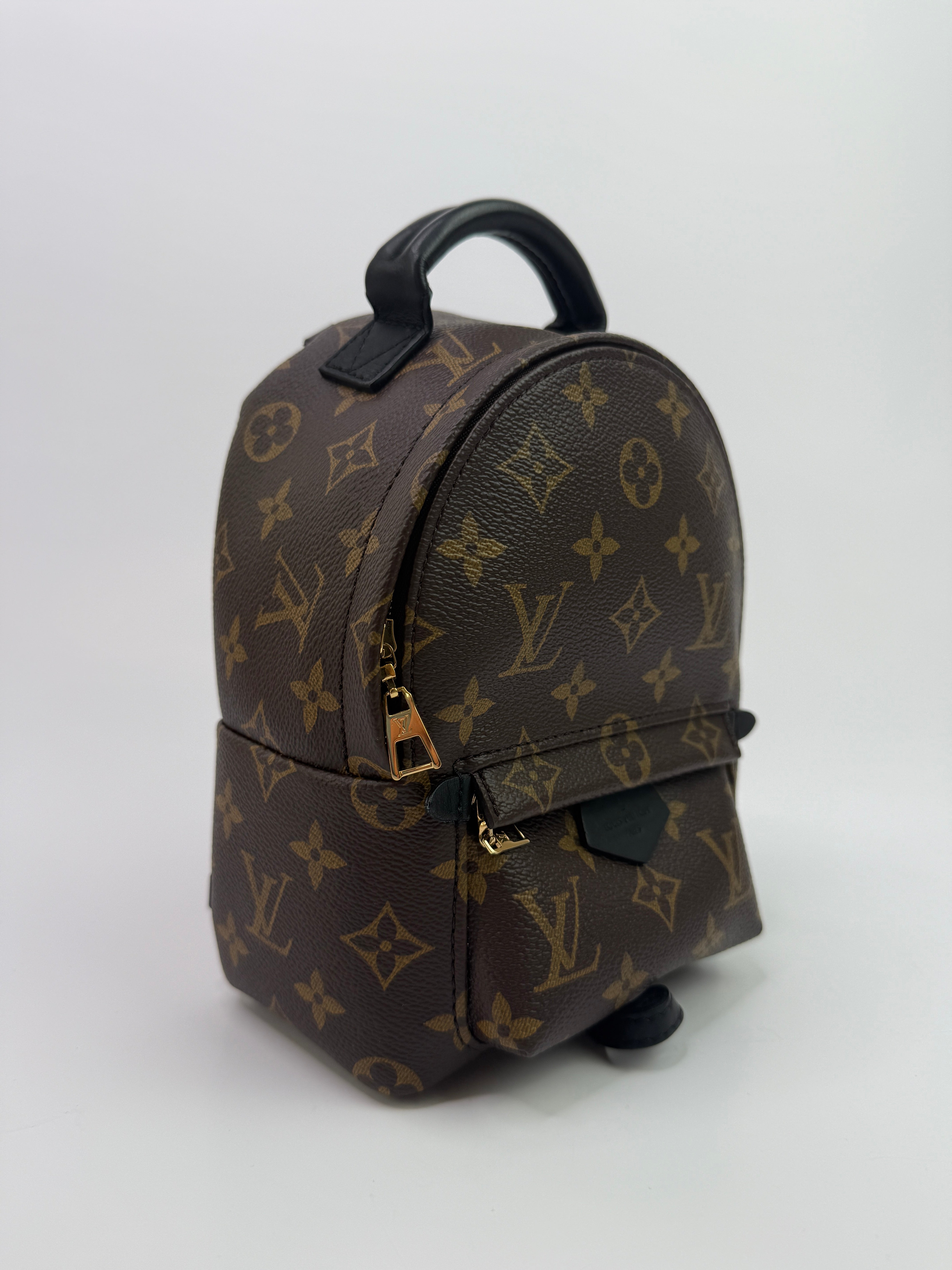 Louis Vuitton Palm Springs Mini Backpack