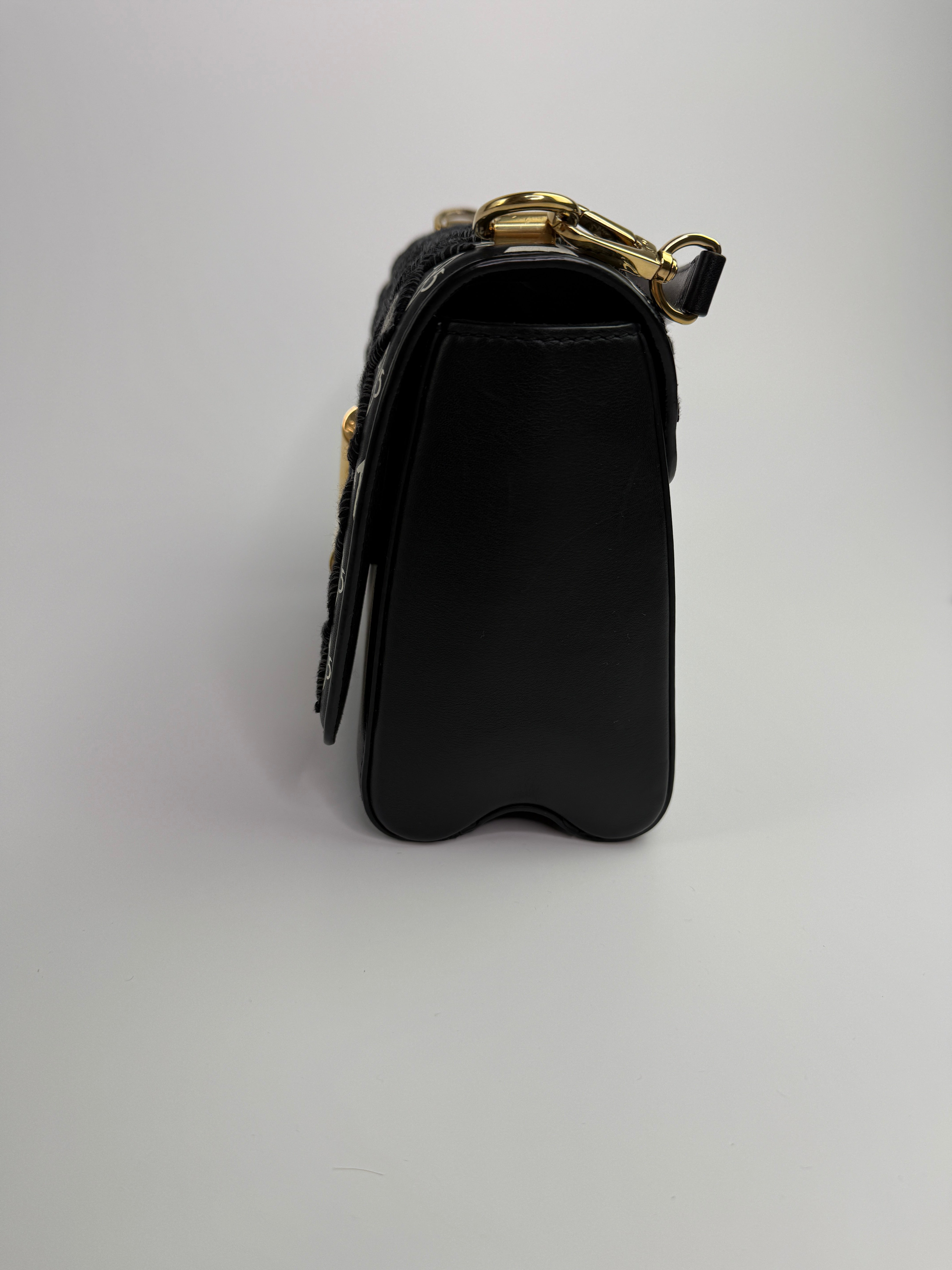 Louis Vuitton Since 1854 Embroidered Twist MM Shoulder Bag