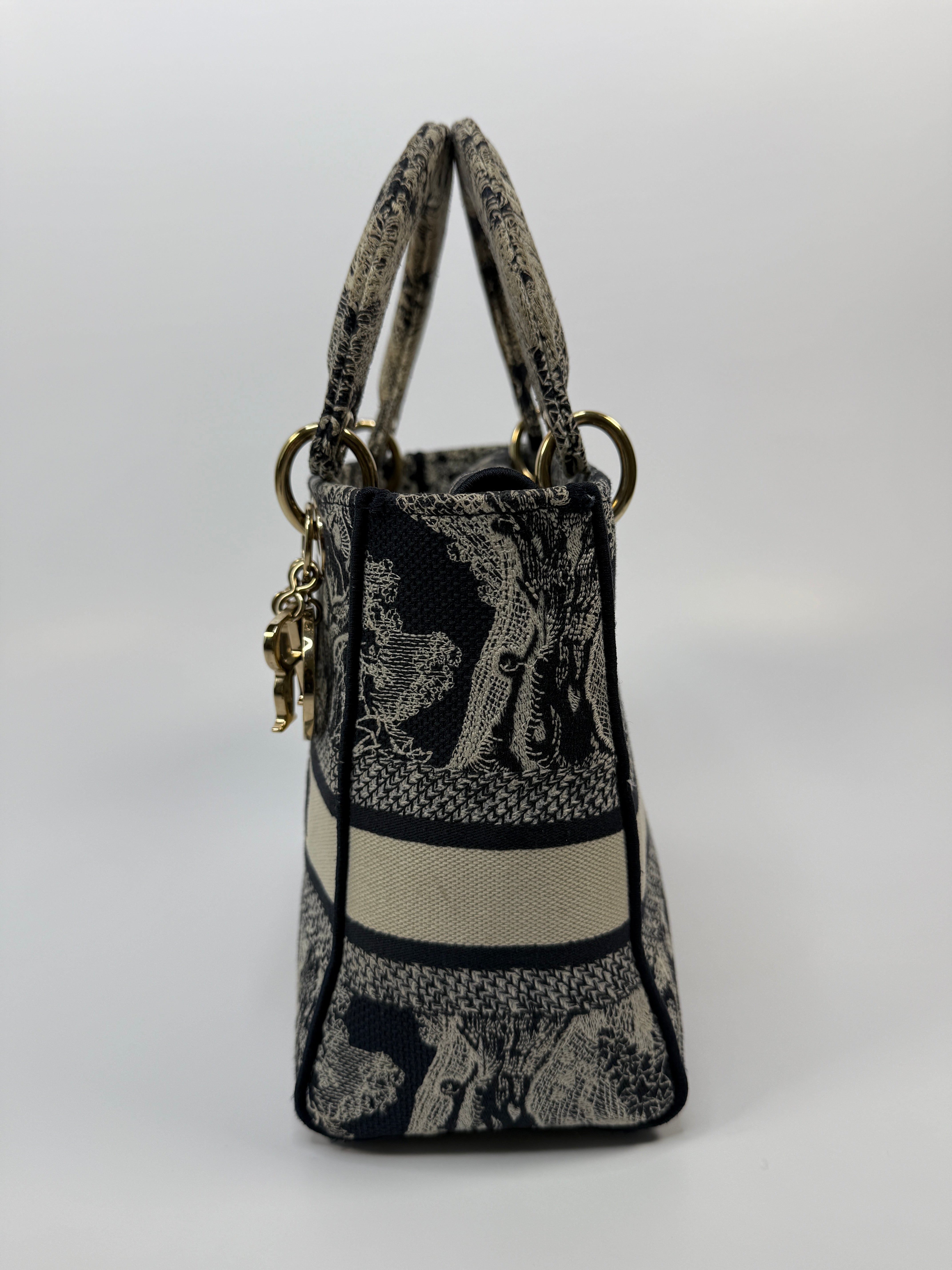 Christian Dior Medium Lady D-Lite bag