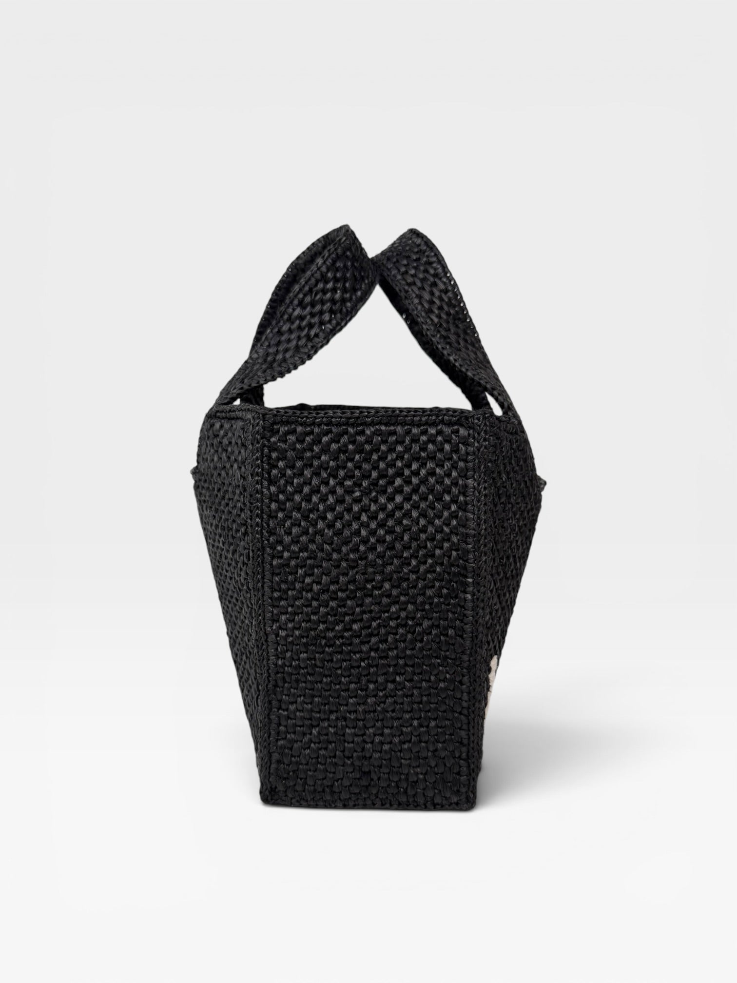 Loewe Mini Raffia Basket Bag