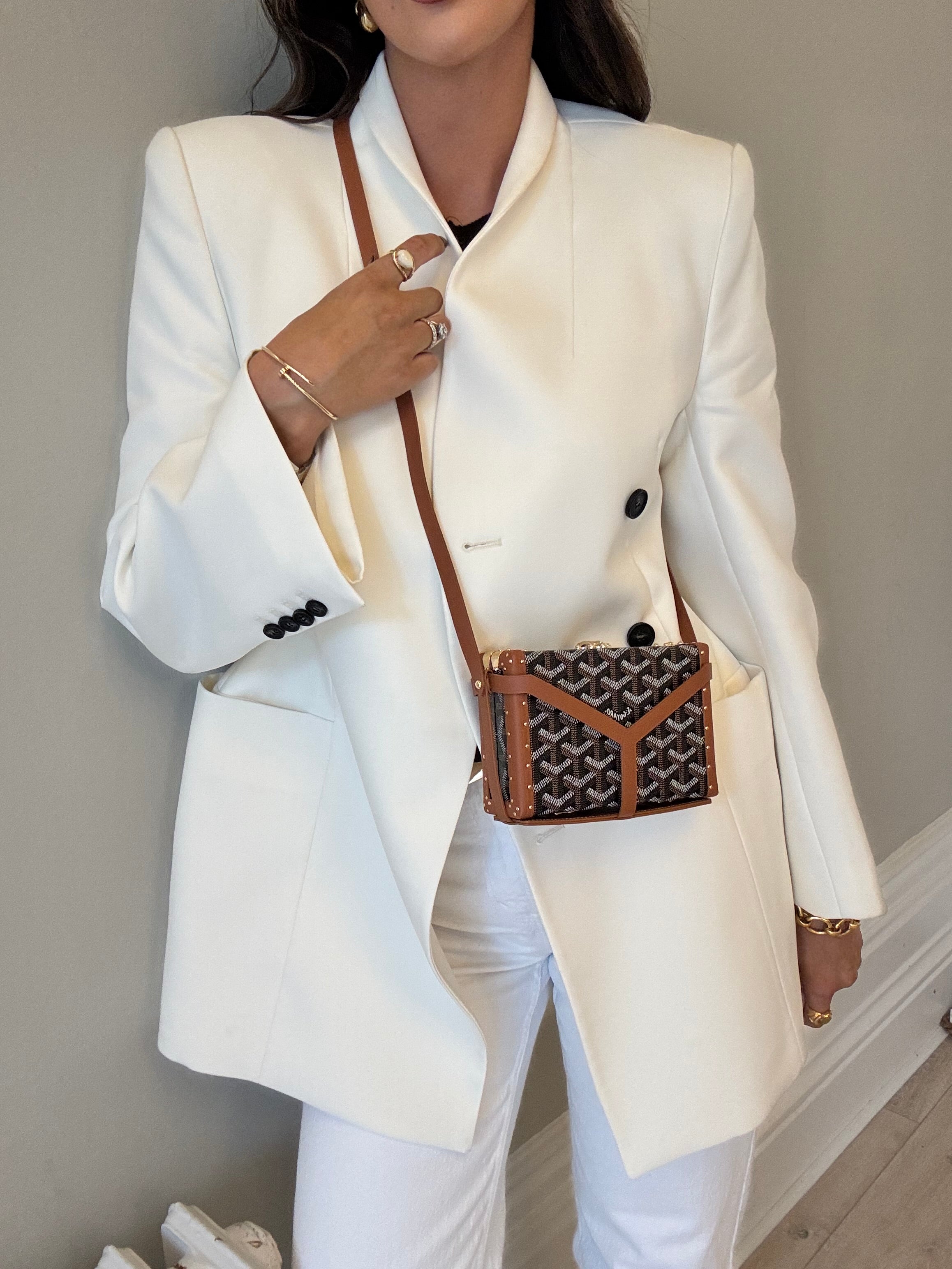 Goyard Minaudiere Trunk Shoulder Bag