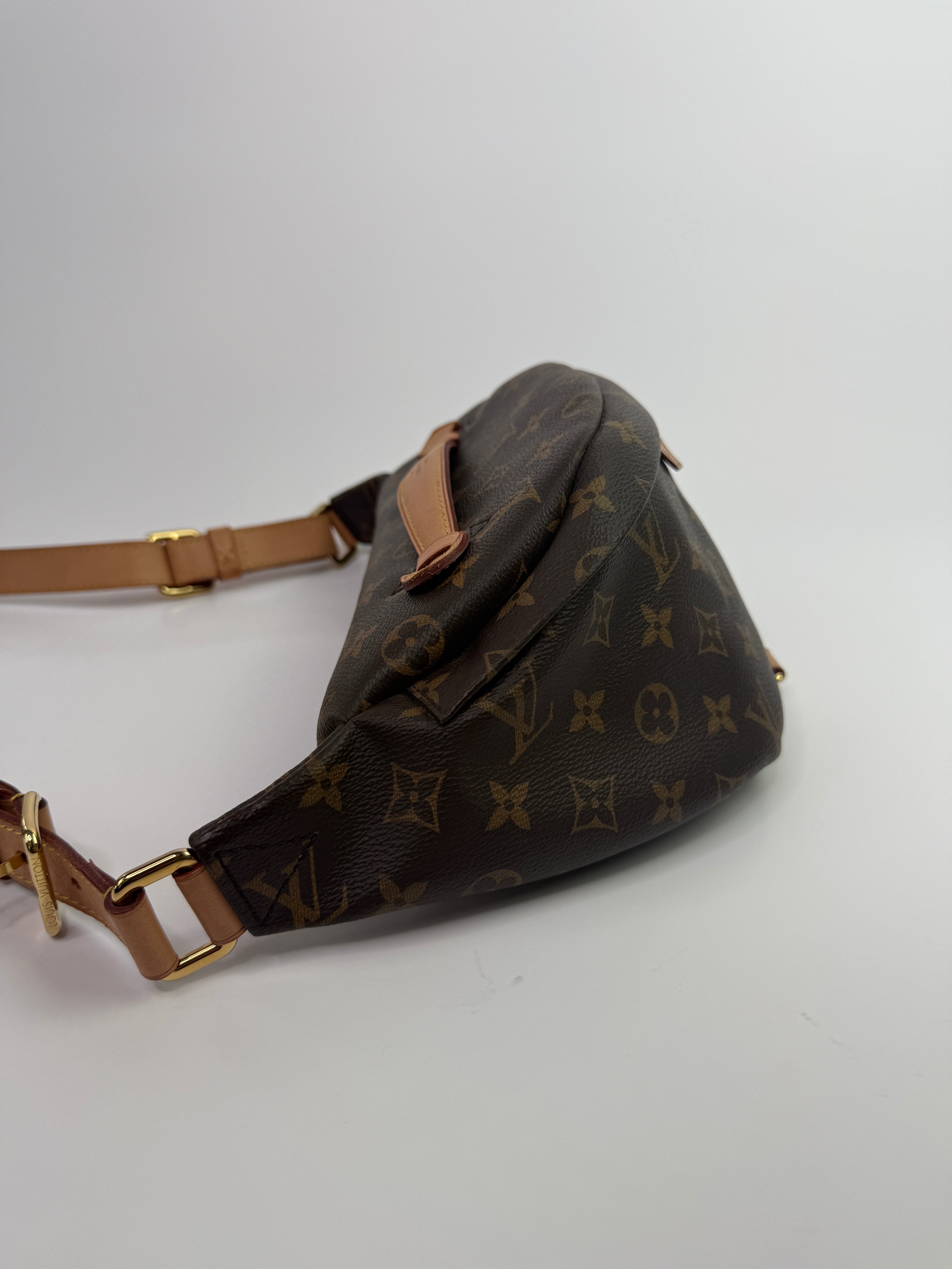 Louis Vuitton Monogram Bumbag