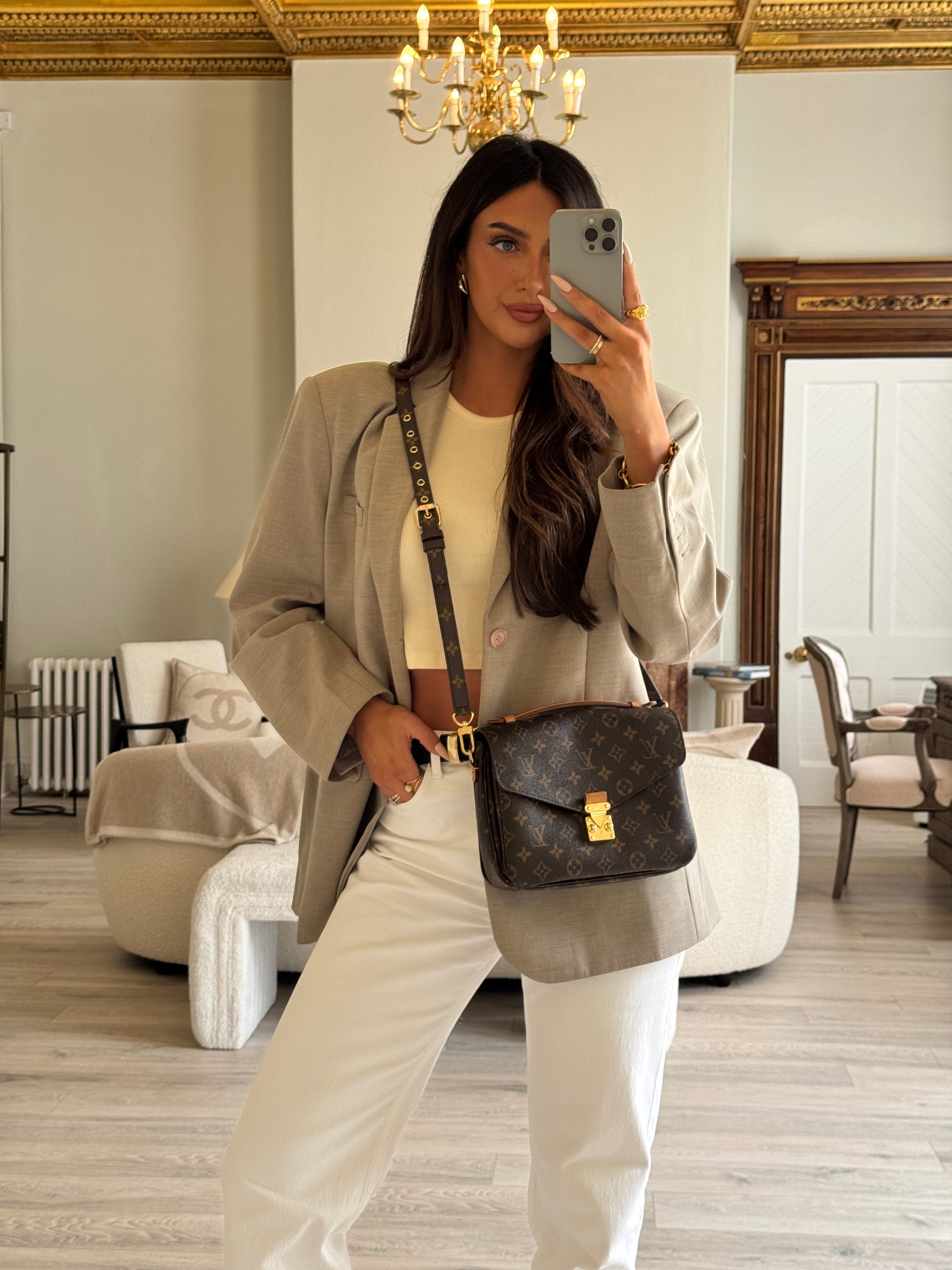 Louis Vuitton Pochette Métis Bag