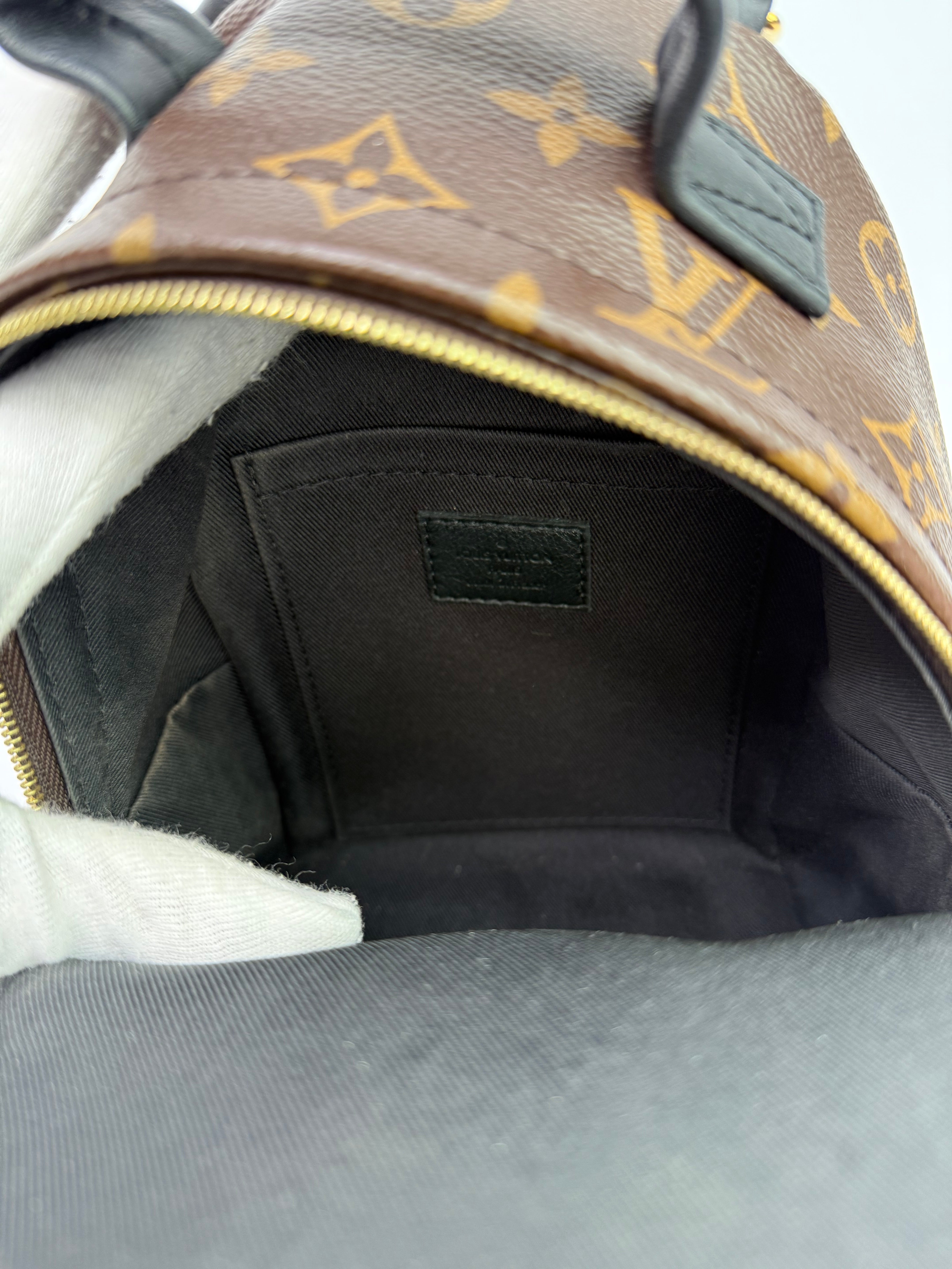 Louis Vuitton Palm Springs Mini Backpack