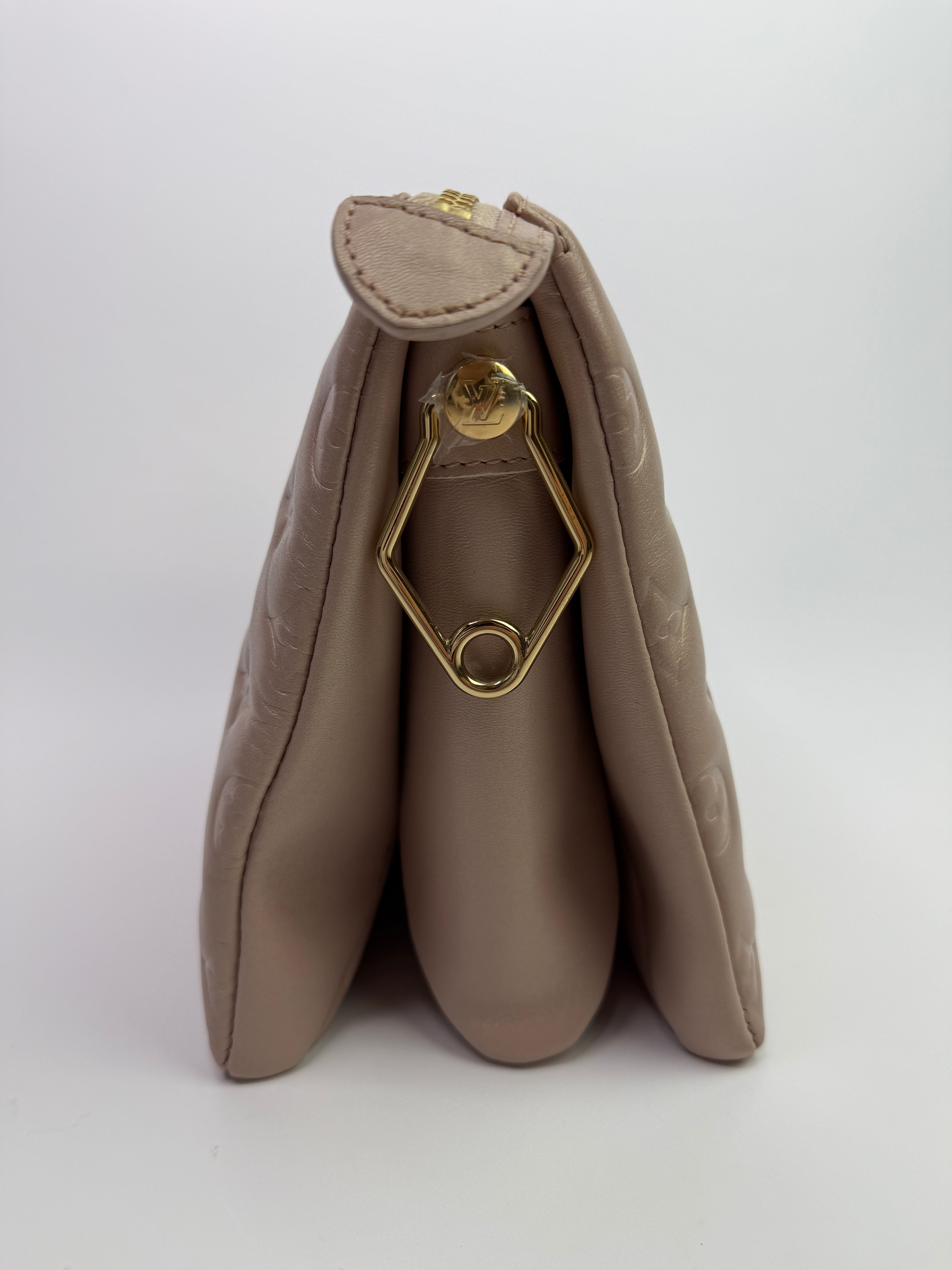 Louis Vuitton Coussin Fall In Love PM Bag