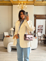 Chanel Medium Double Flap Bag In Brown Python With SHW