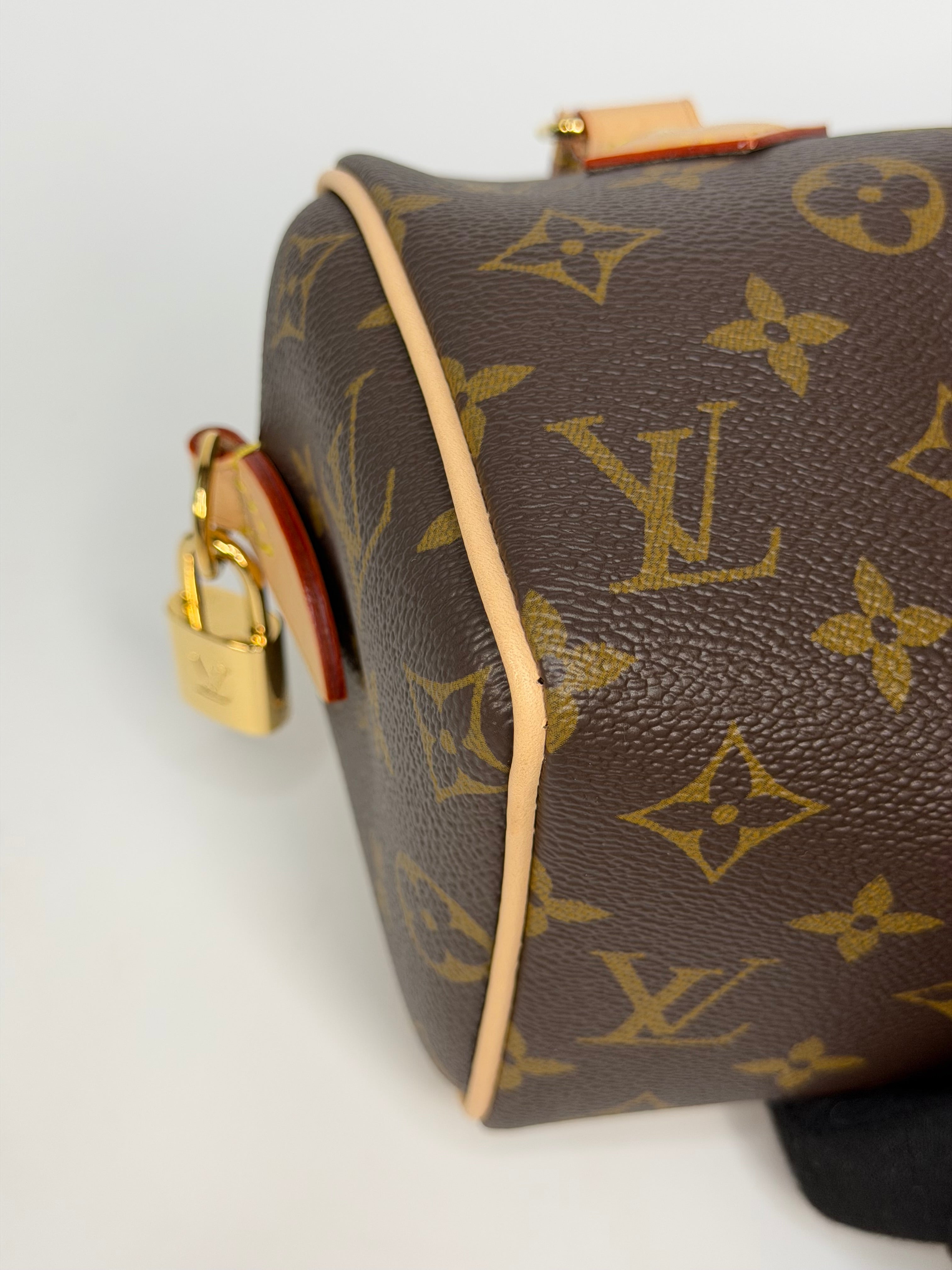 Louis Vuitton Speedy 20 In Monogram Canvas With Gold Hardware
