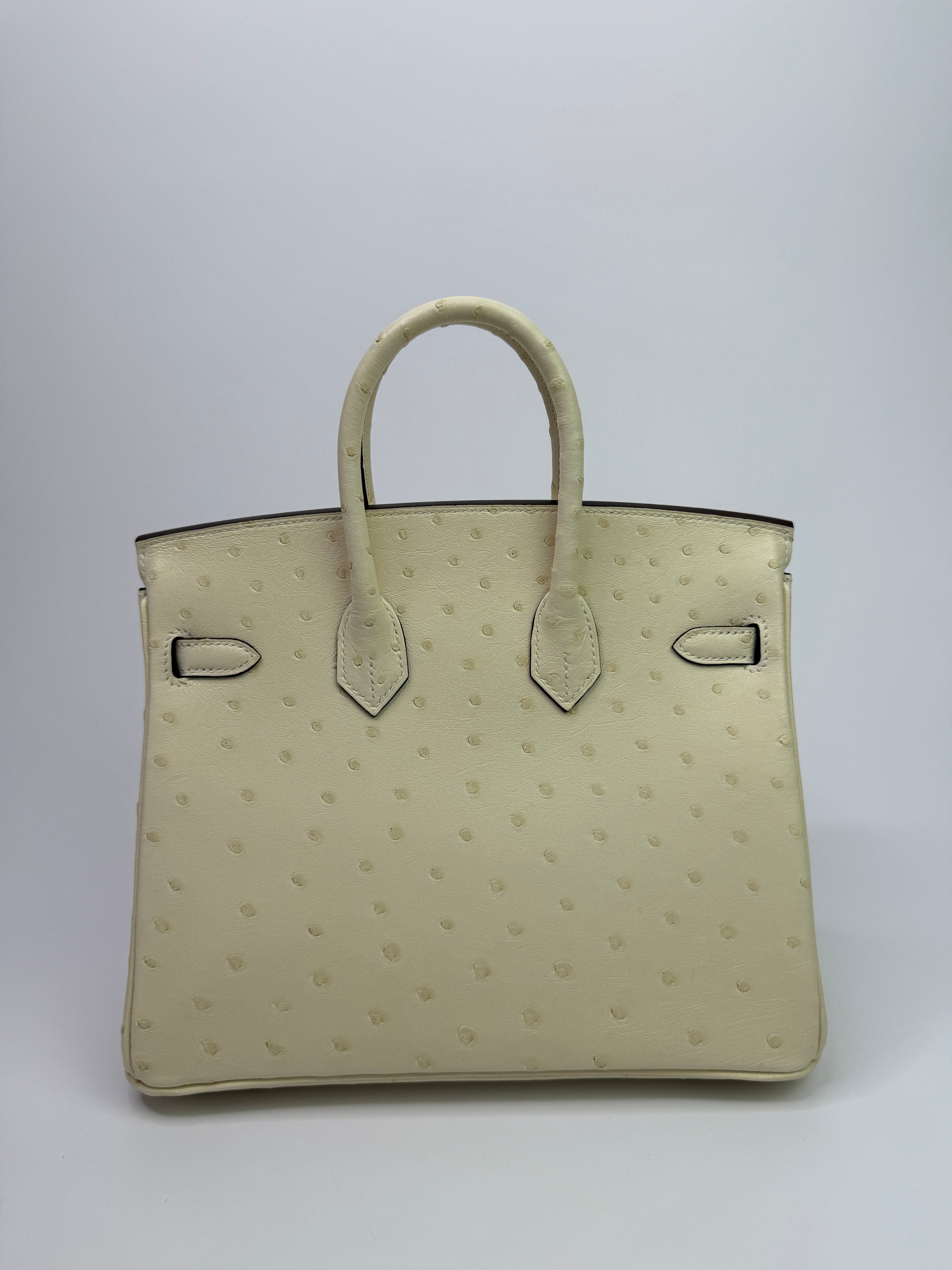 Hermès Birkin 25 In Nata Ostrich With Gold Hardware
