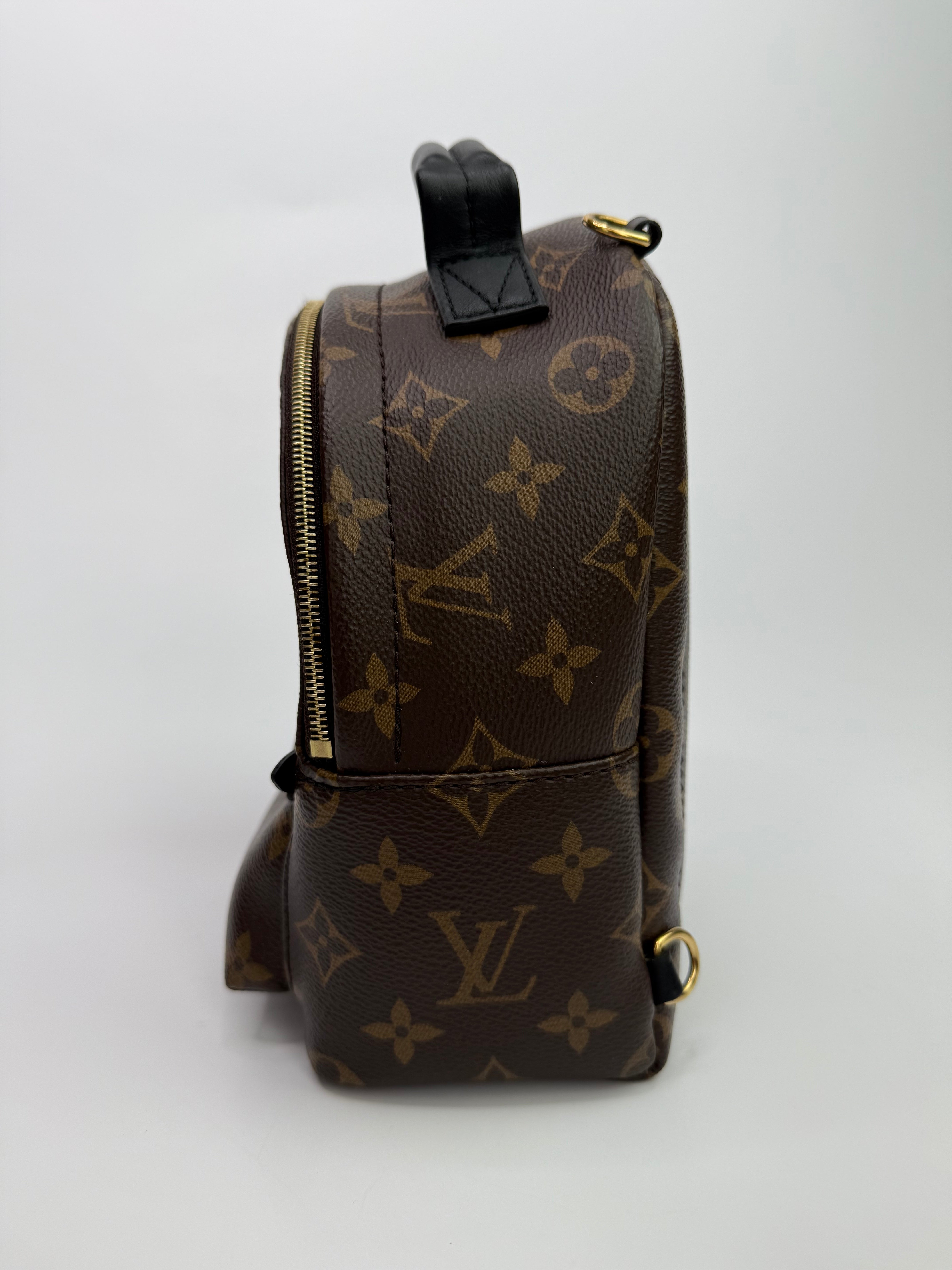 Louis Vuitton Palm Springs Mini Backpack