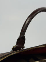 Louis Vuitton Speedy 30 Bag