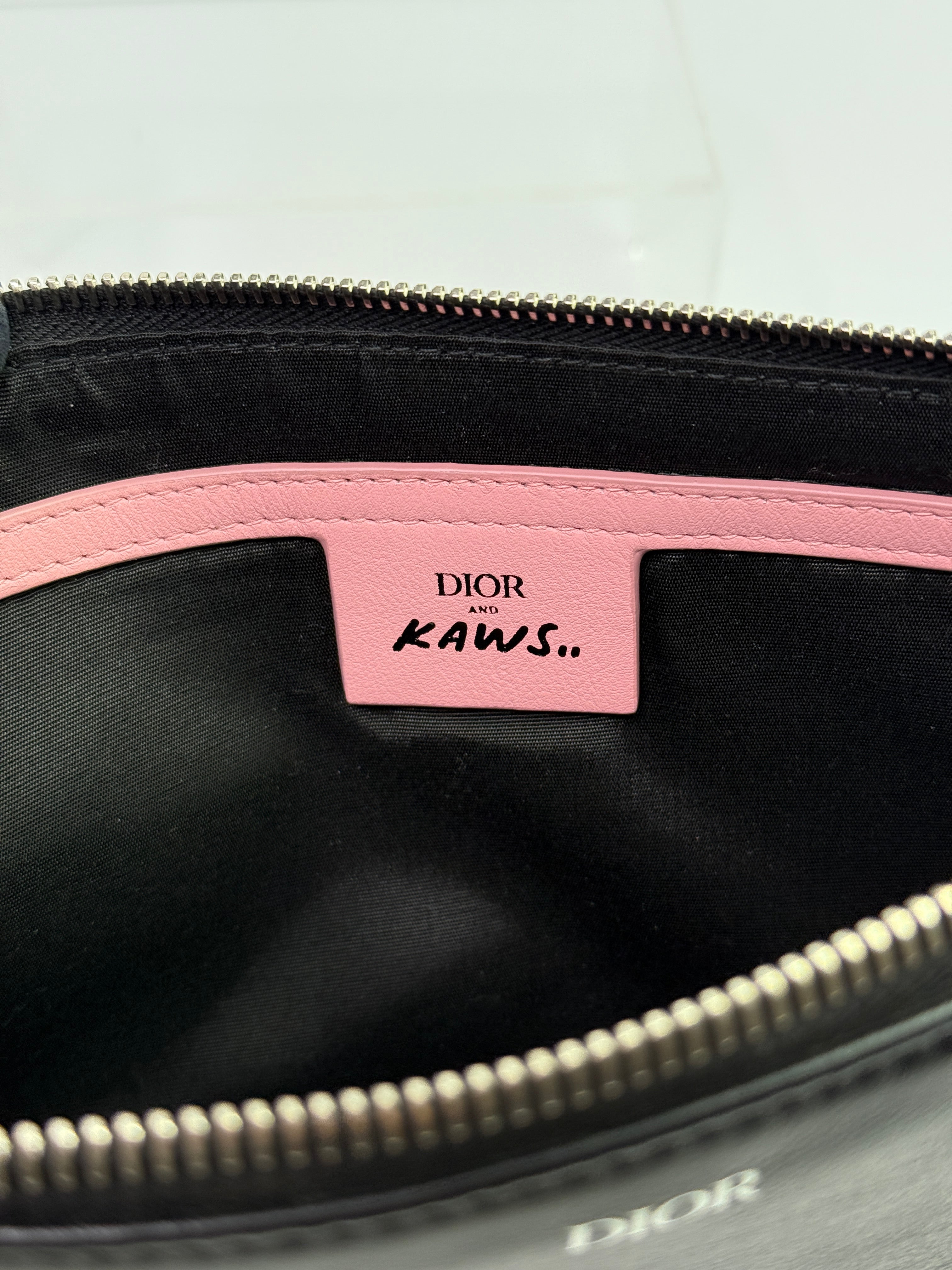 Christian Dior Kaws Bees Pouch