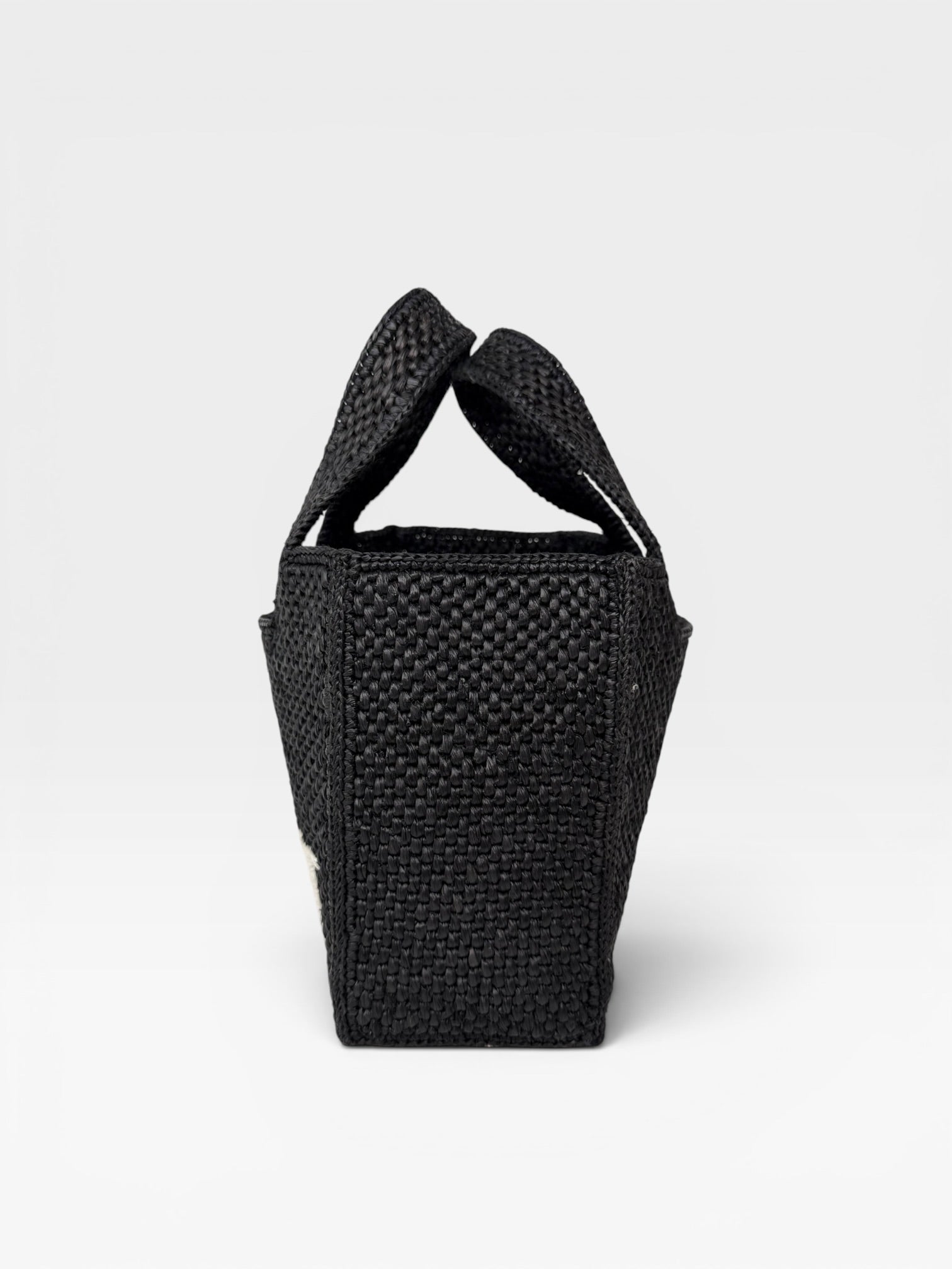 Loewe Mini Raffia Basket Bag