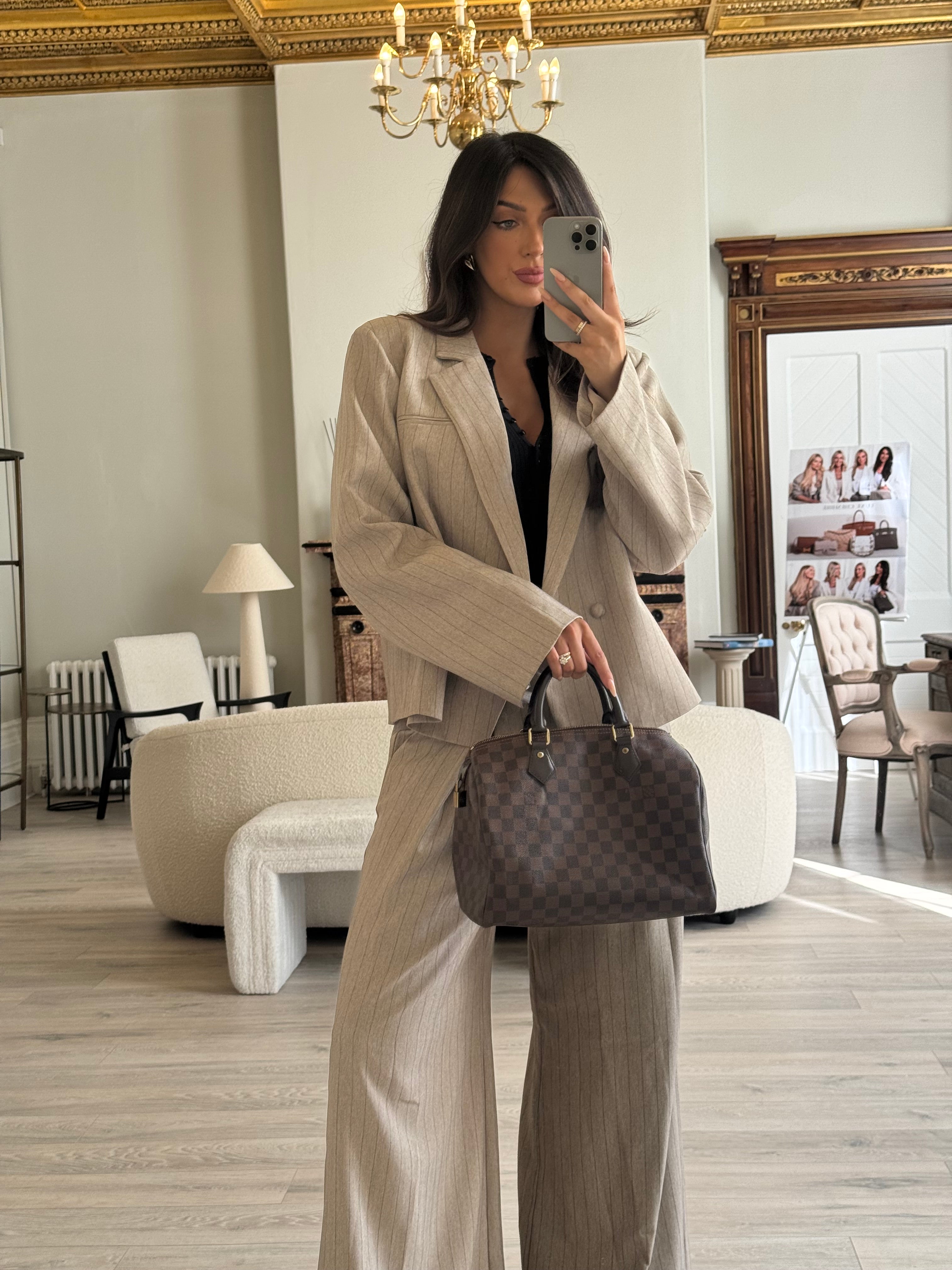 Louis Vuitton Speedy 30 Bag