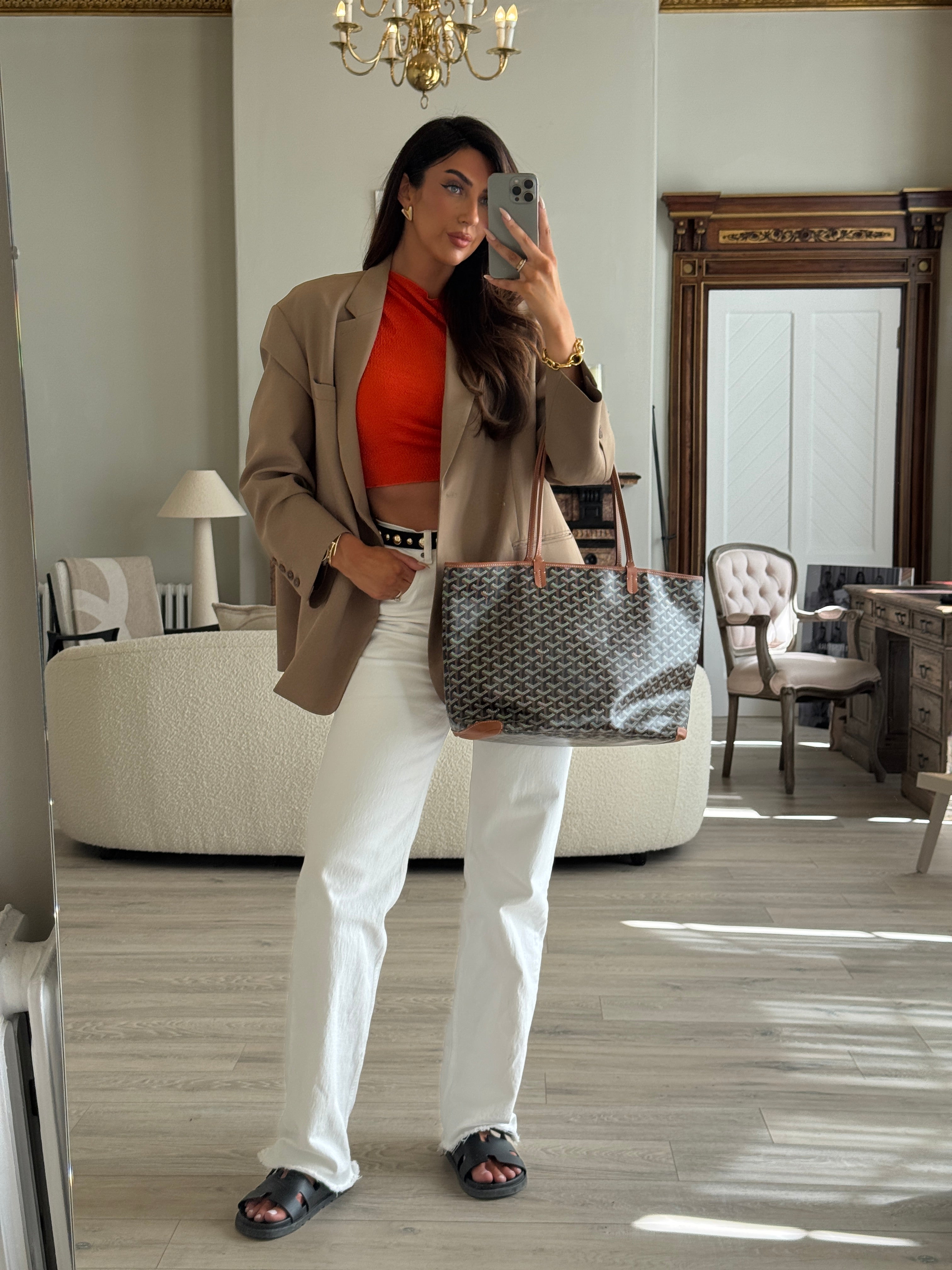 Goyard Artois MM Bag