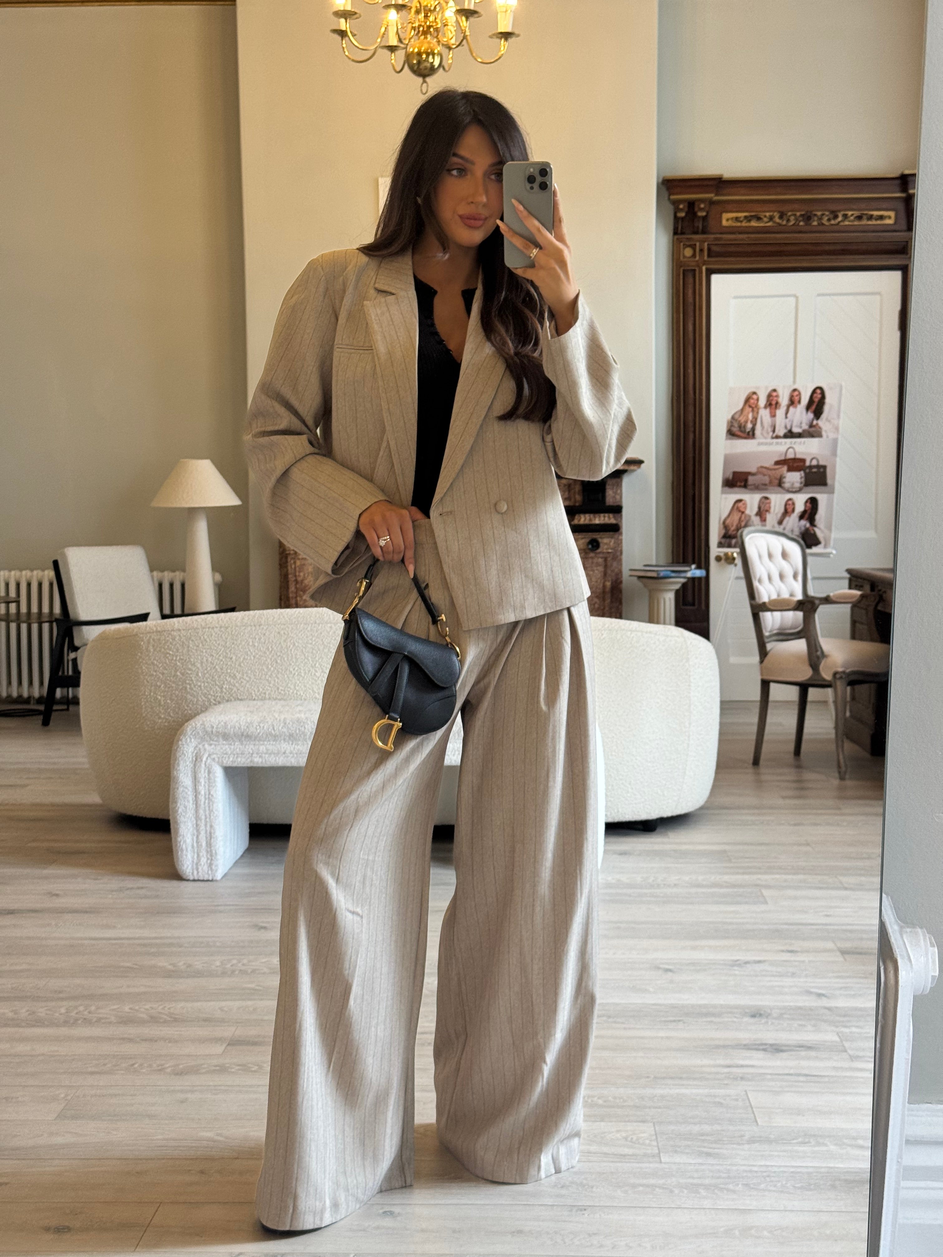 Christian Dior Mini Saddle Bag