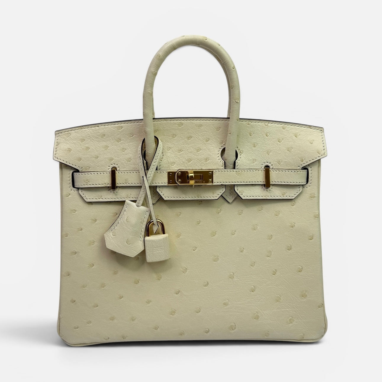 Hermès Birkin 25 In Nata Ostrich With Gold Hardware