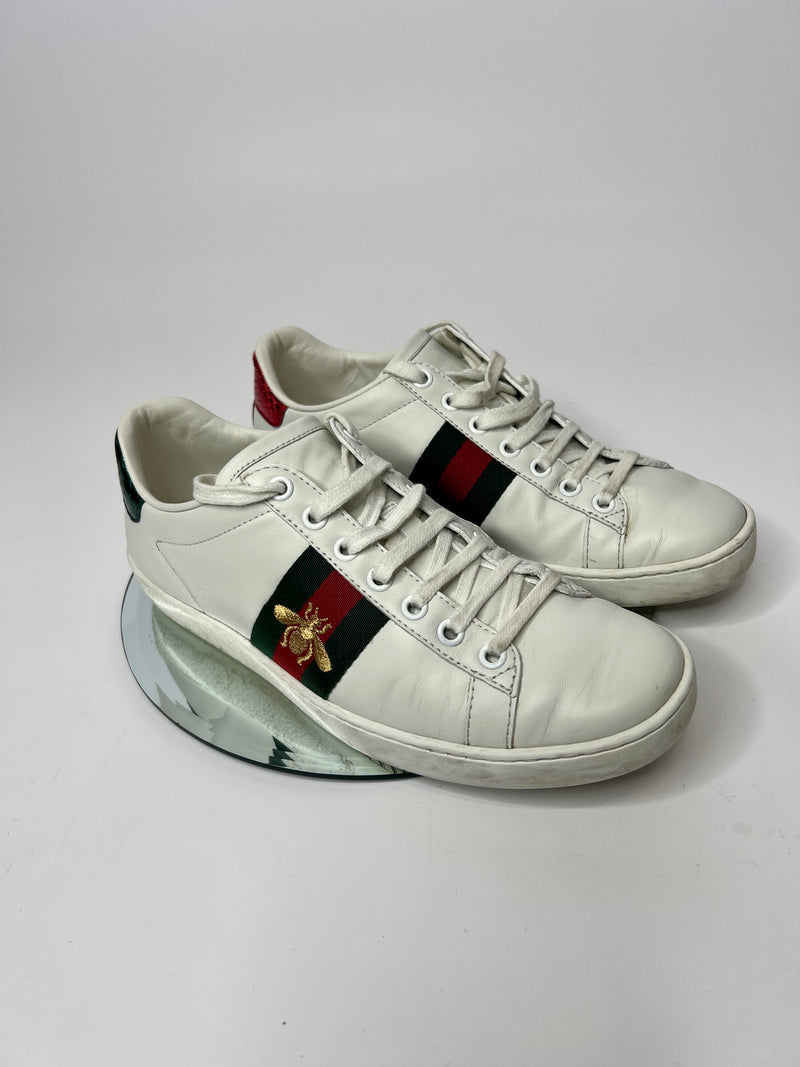 Gucci New Ace Trainers (Size 36.5 / UK 3.3 )