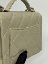 Chanel Seasonal Top Handle Flap Bag