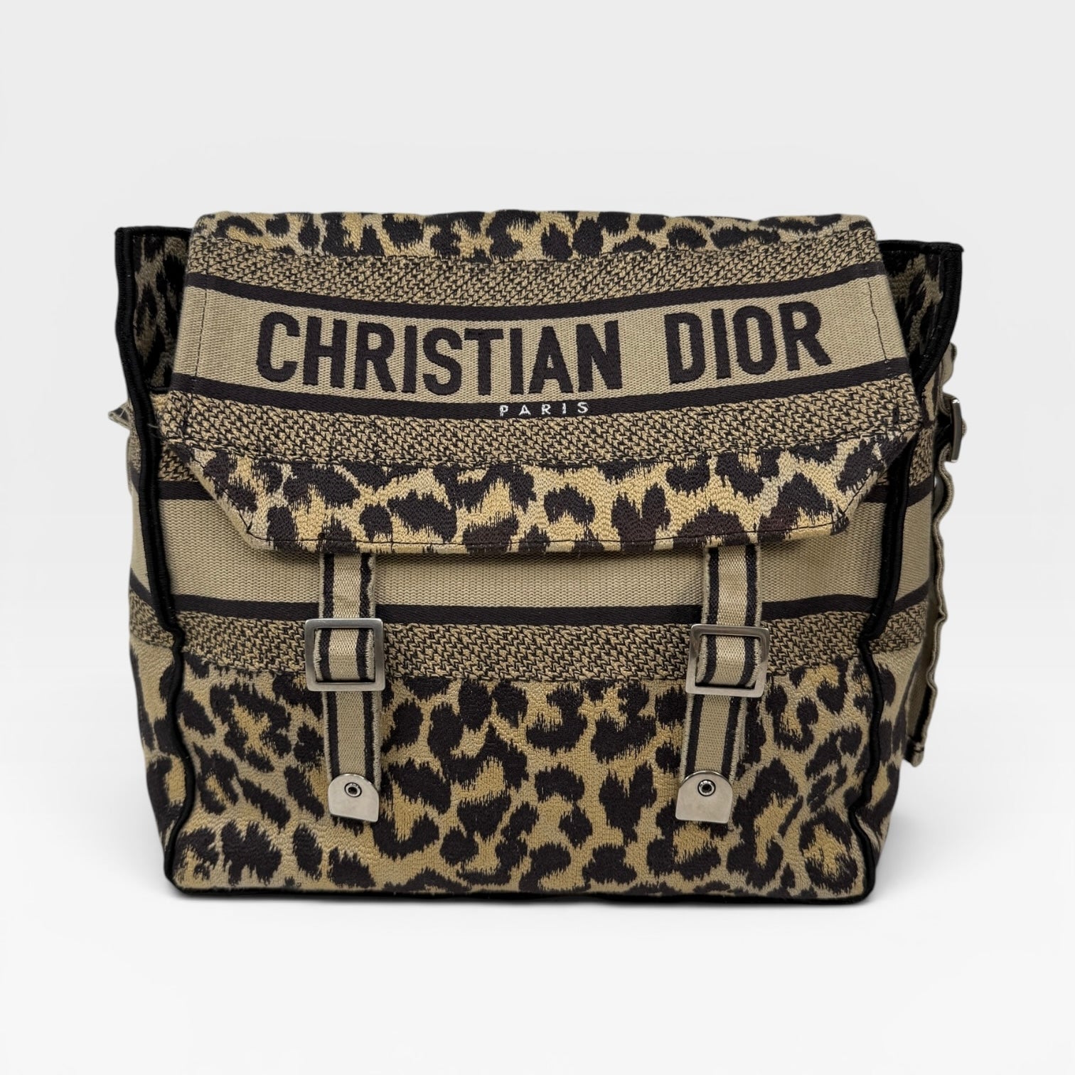 Christian Dior Camp Dior Bag In Leopard