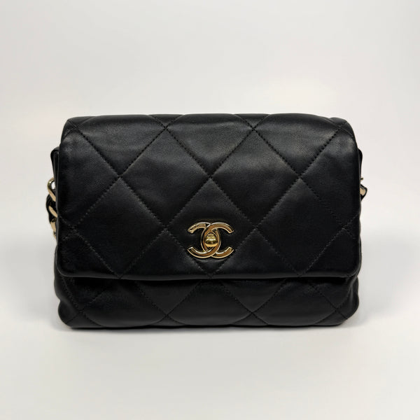 Chanel Black Seasonal Flap Bag