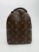 Louis Vuitton Palm Springs Mini Backpack
