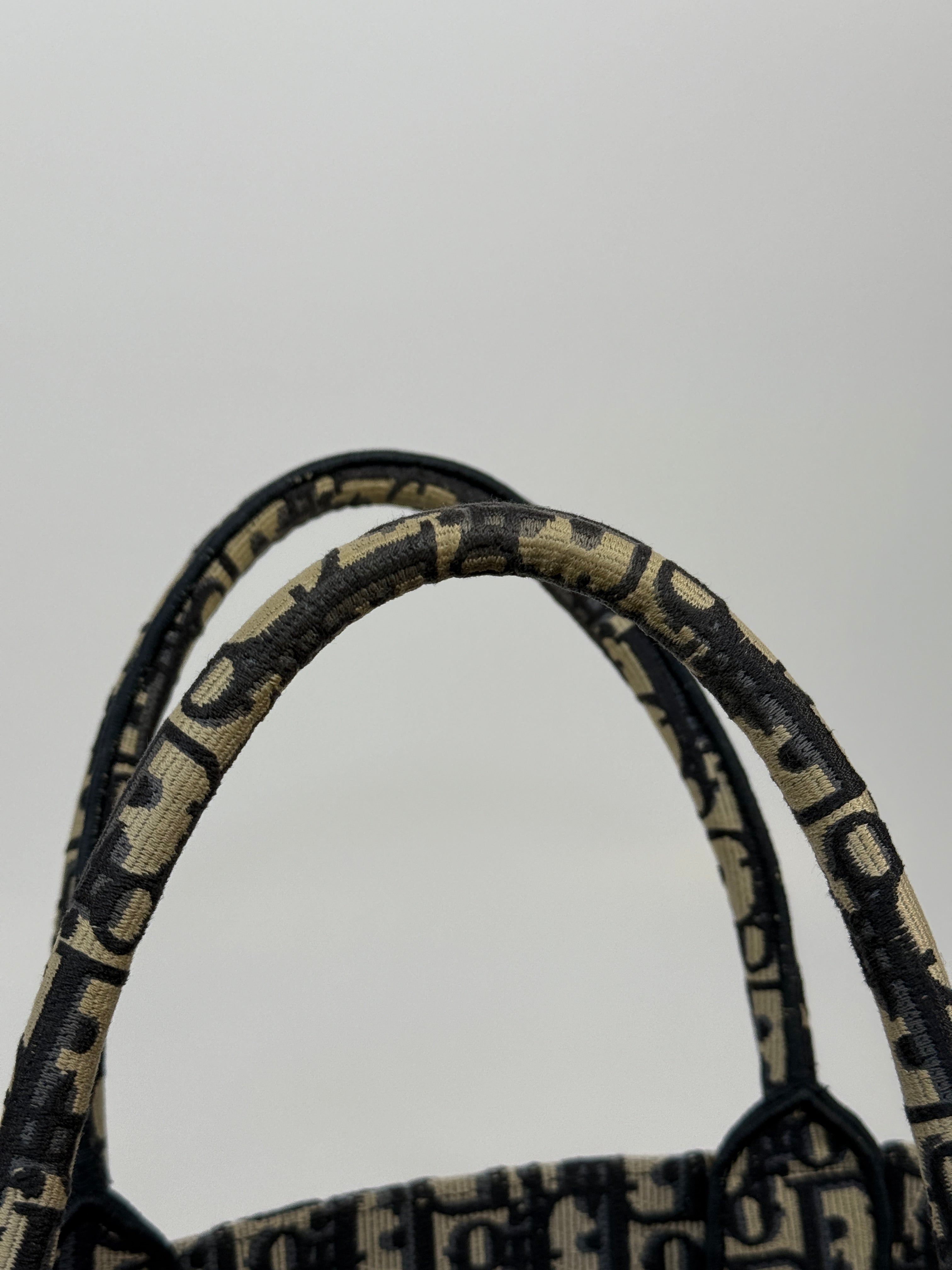 Christian Dior Medium Oblique Book Tote