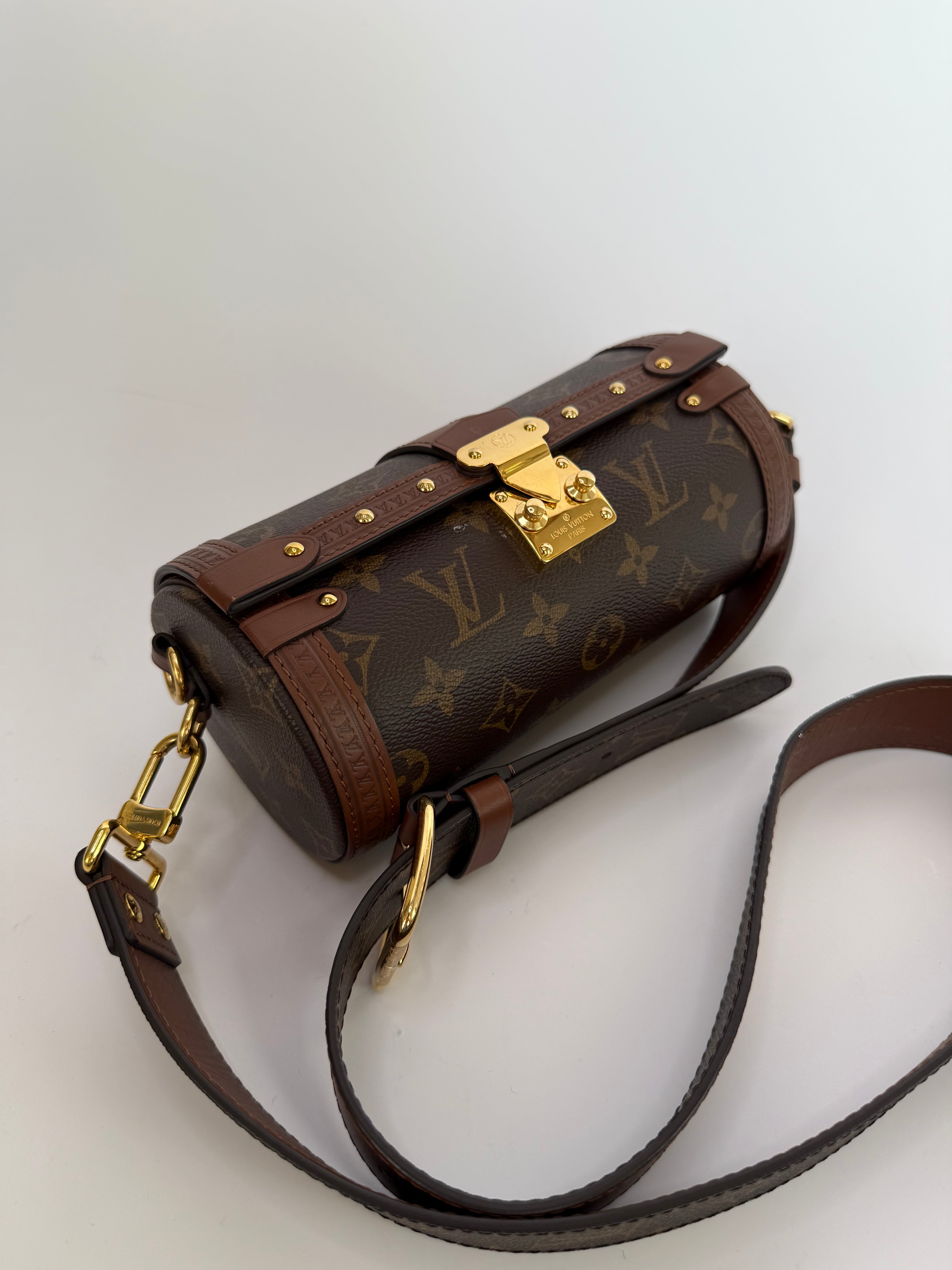 Louis Vuitton Papillon Trunk
