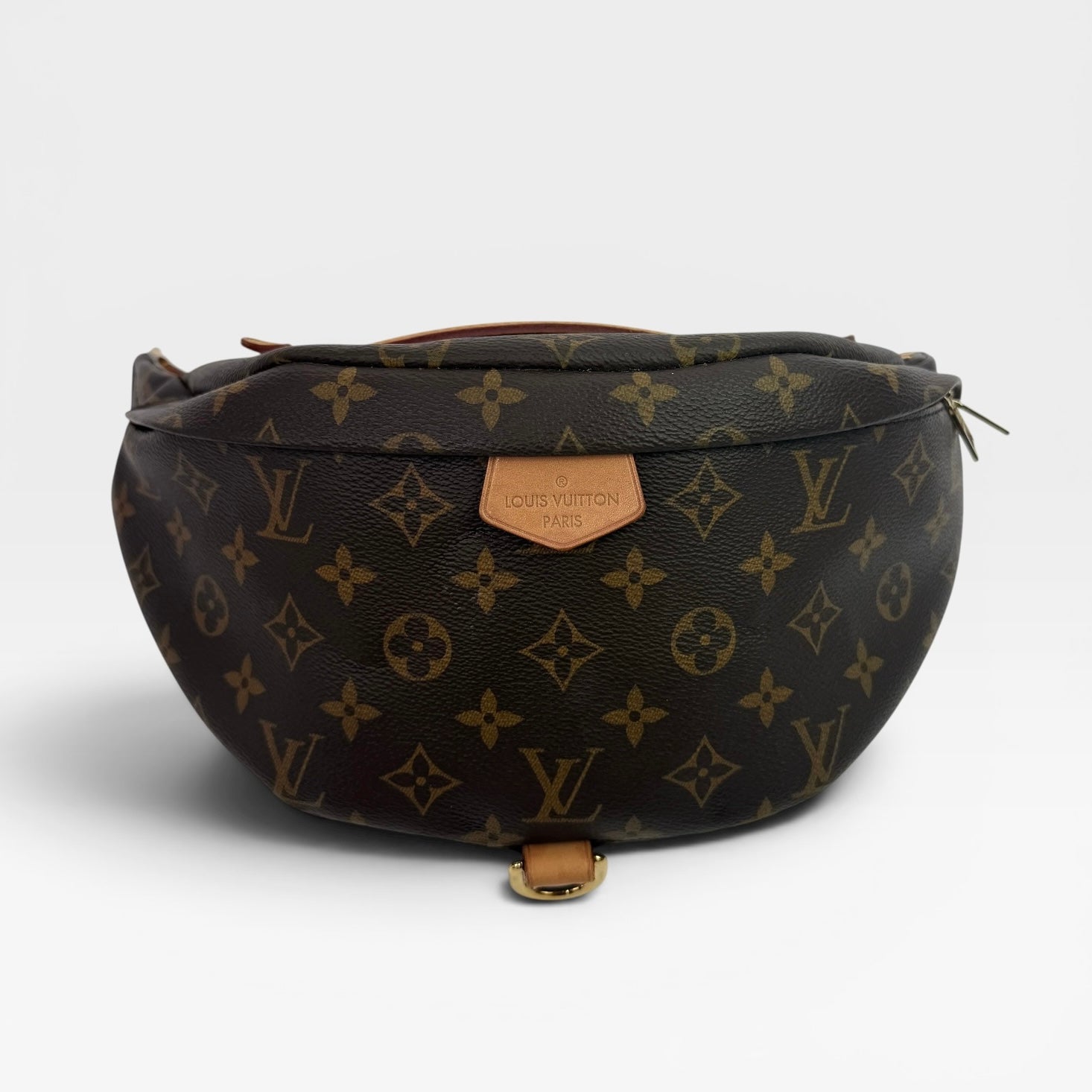 Louis Vuitton Monogram Bumbag