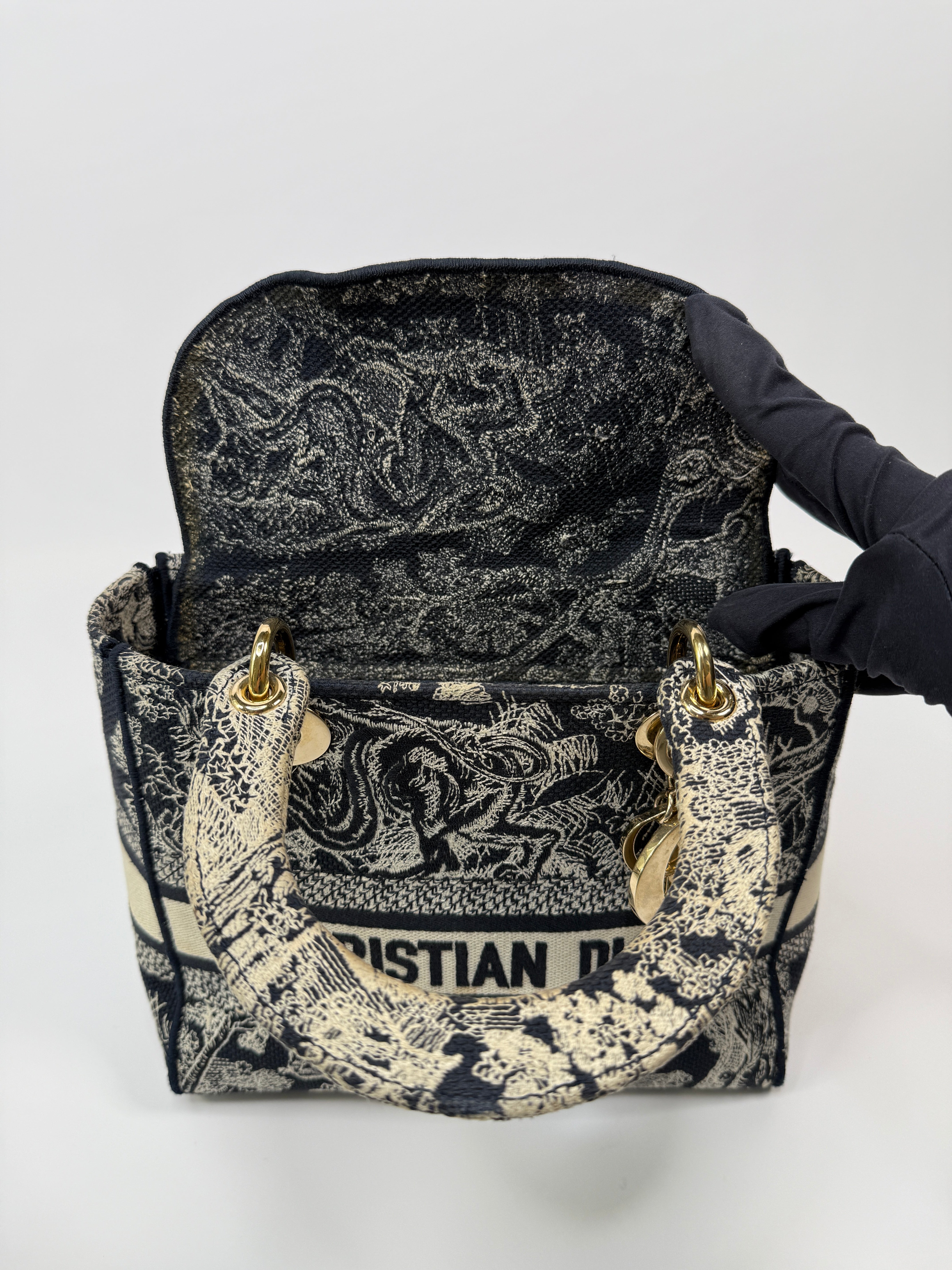 Christian Dior Medium Lady D-Lite bag