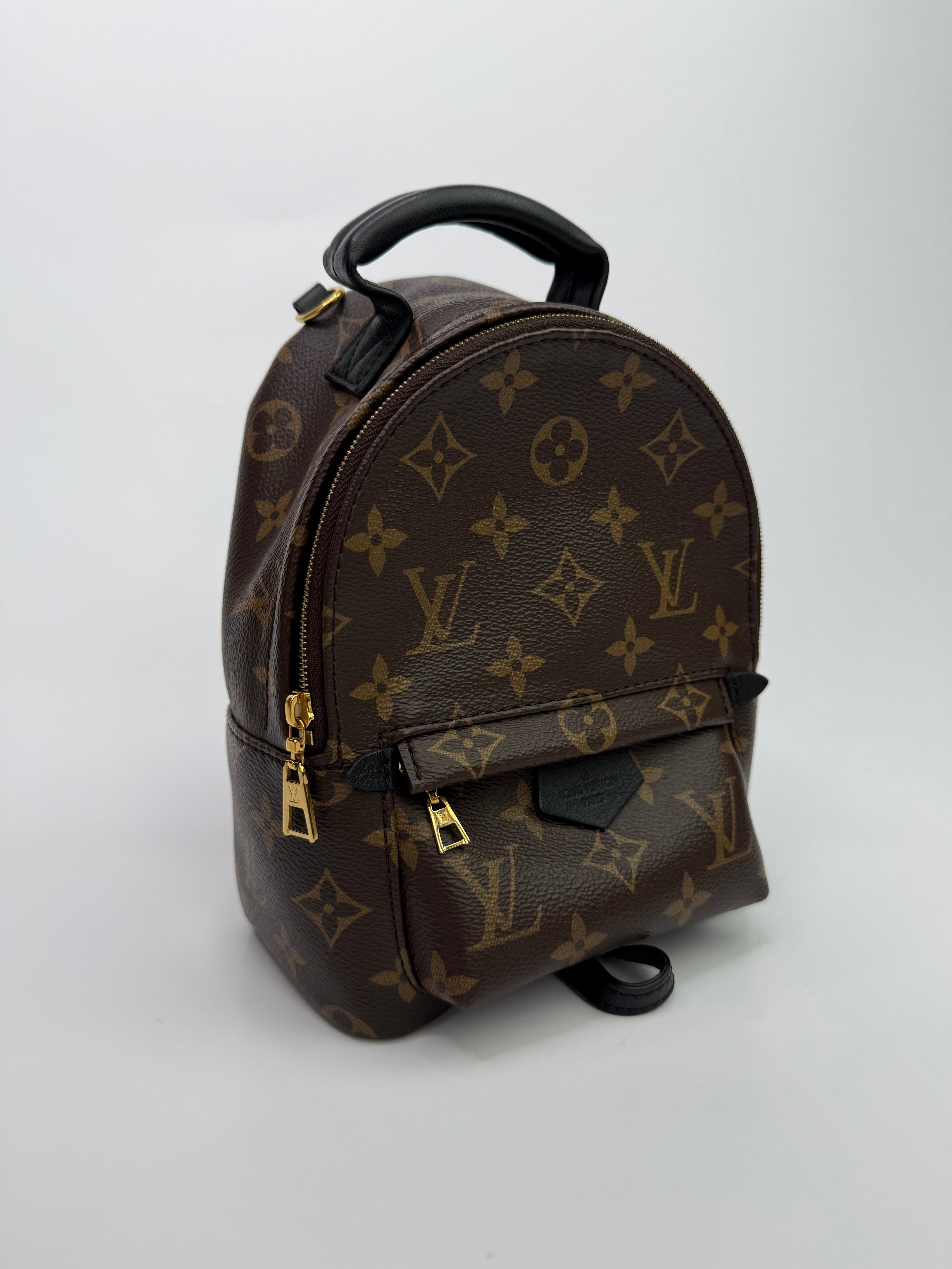 Louis Vuitton Palm Springs Mini Backpack