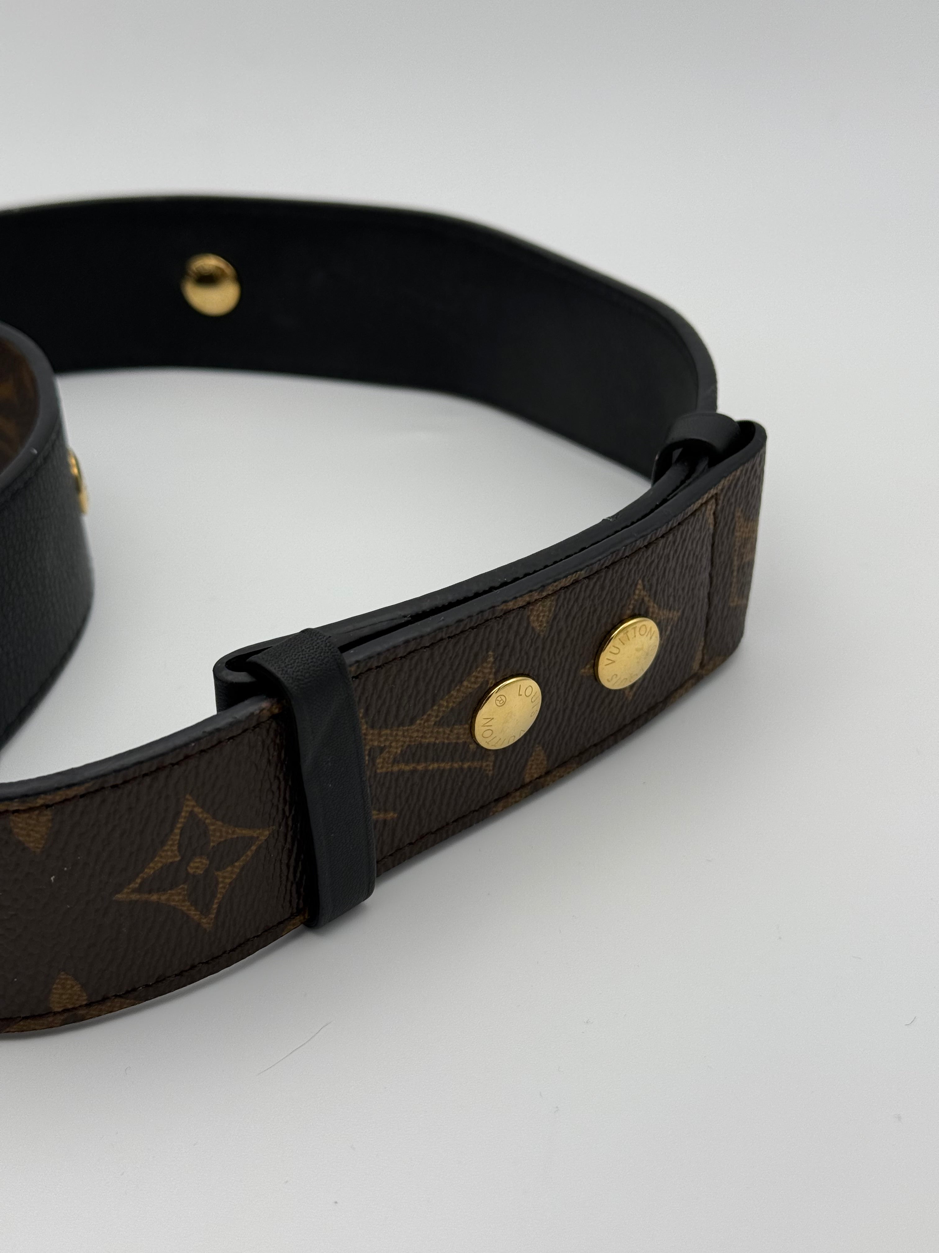 Louis Vuitton Bandoulière Monogram Strap