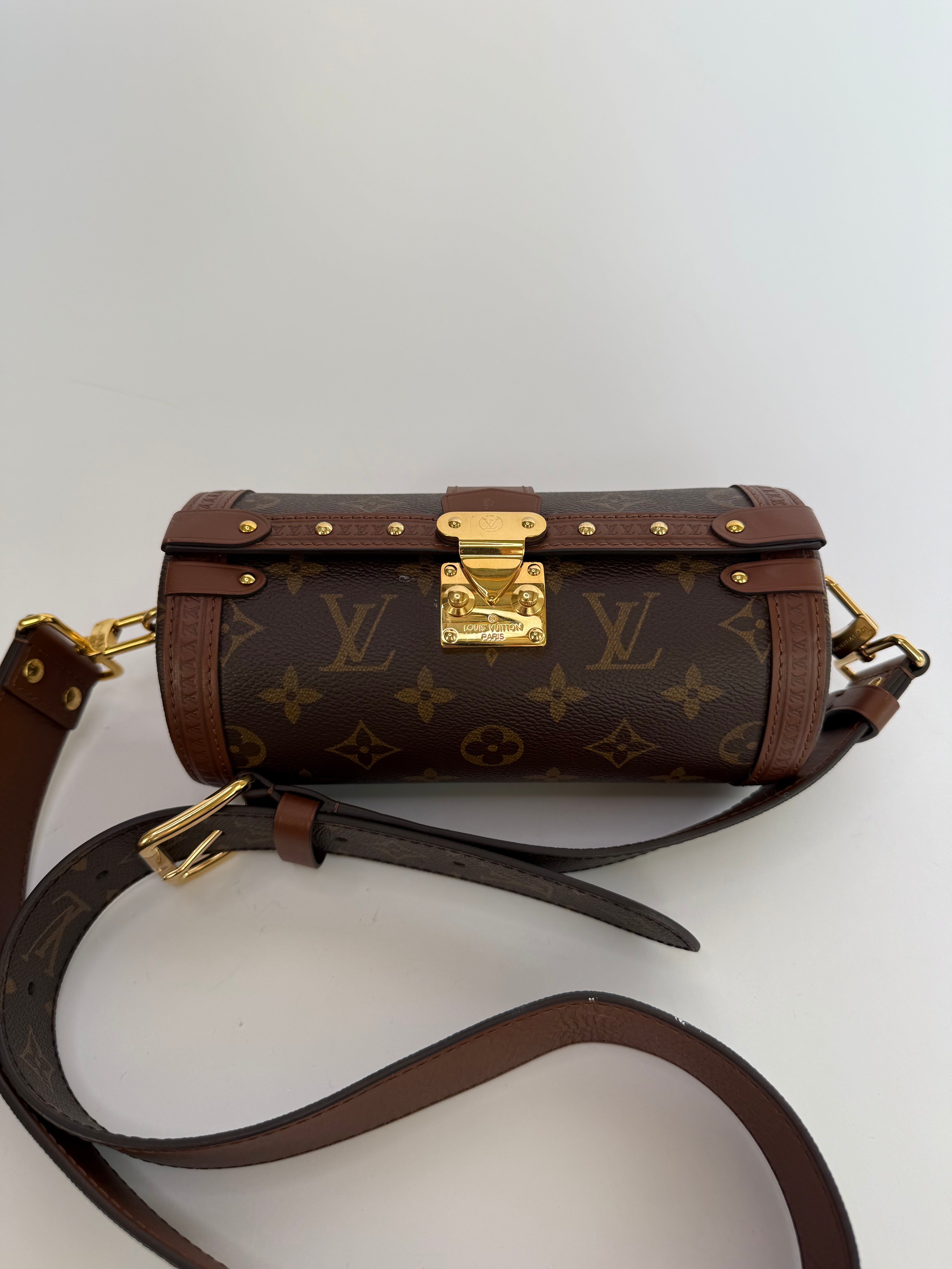 Louis Vuitton Papillon Trunk